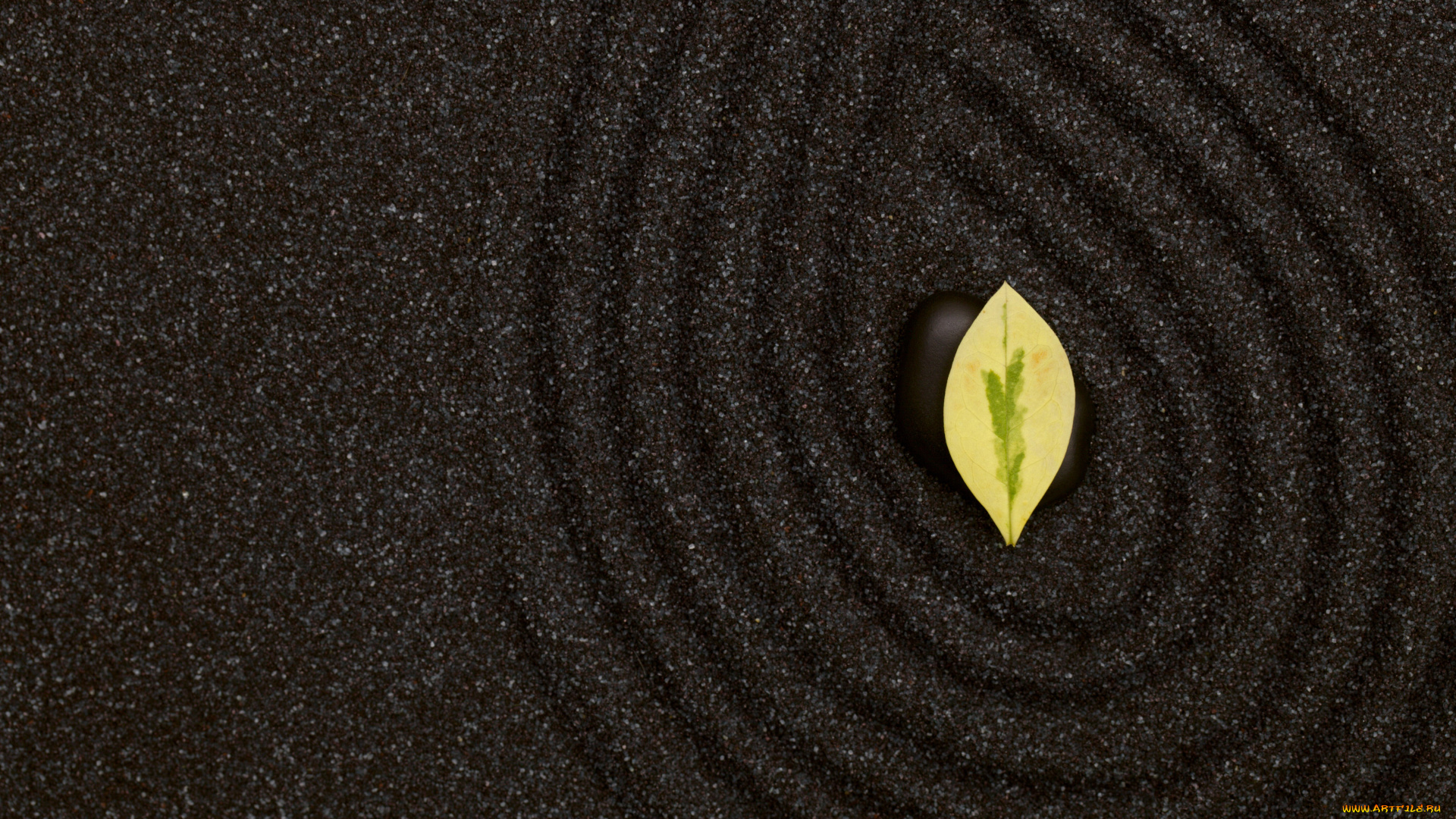 разное, текстуры, листик, камень, песок, текстура