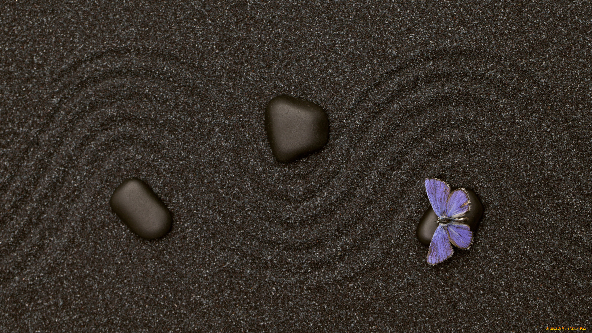 разное, текстуры, текстура, бабочка, песок, камень
