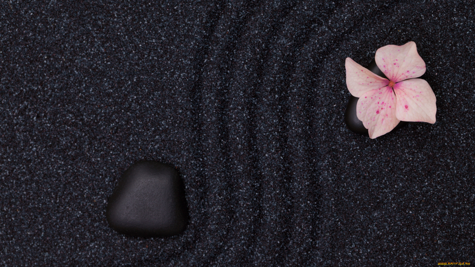 разное, текстуры, текстура, цветок, песок, камень