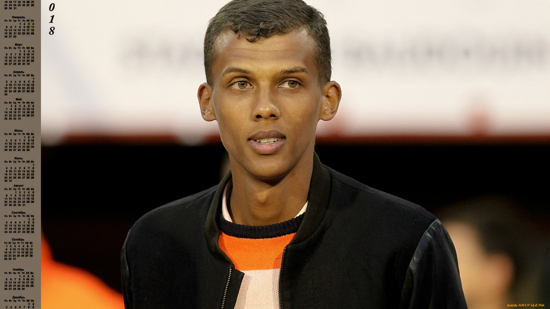 stromae, pol, van, aver, календари, знаменитости, лицо, певец, парень, 2018