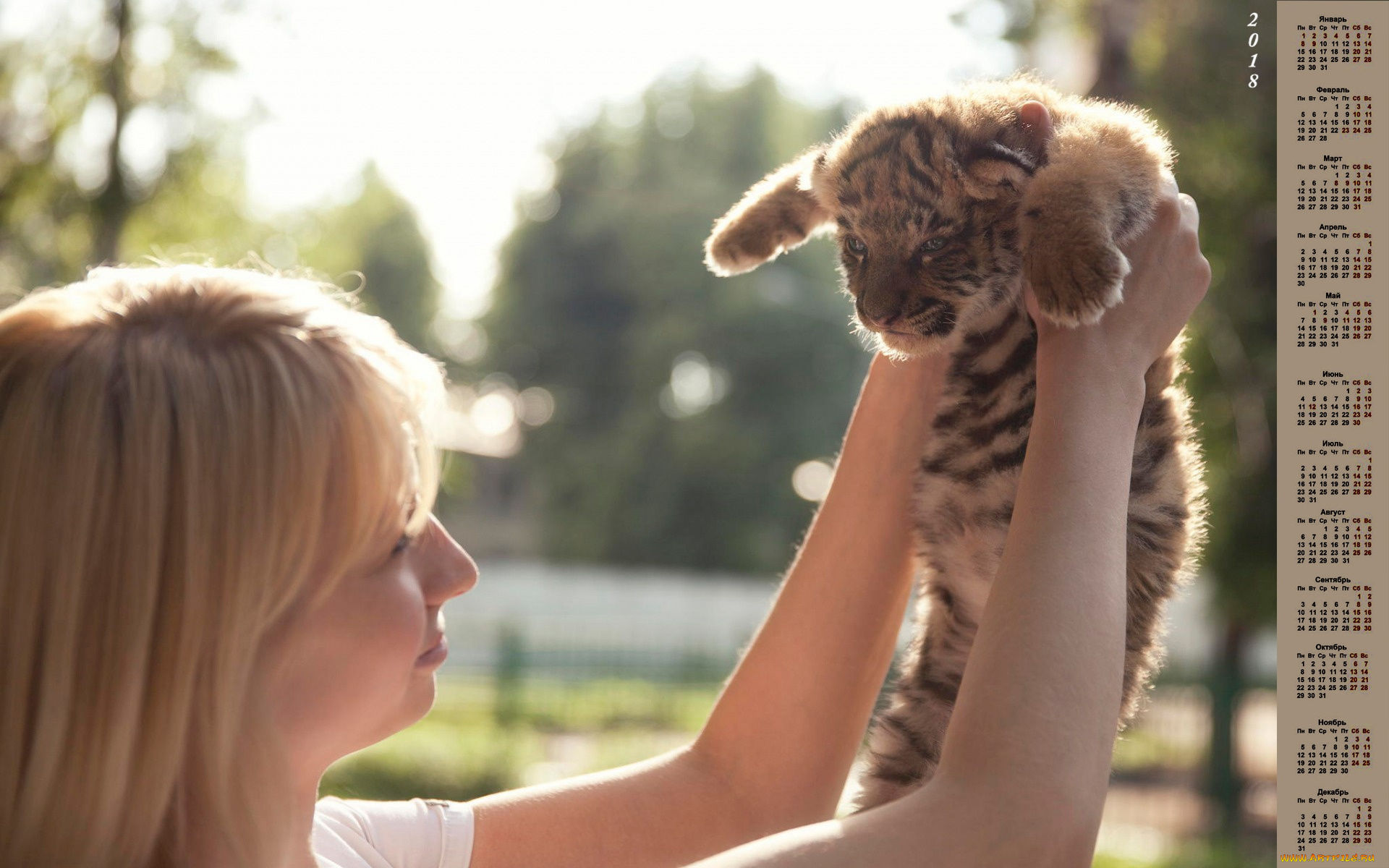 календари, животные, тигренок, 2018, женщина, профиль