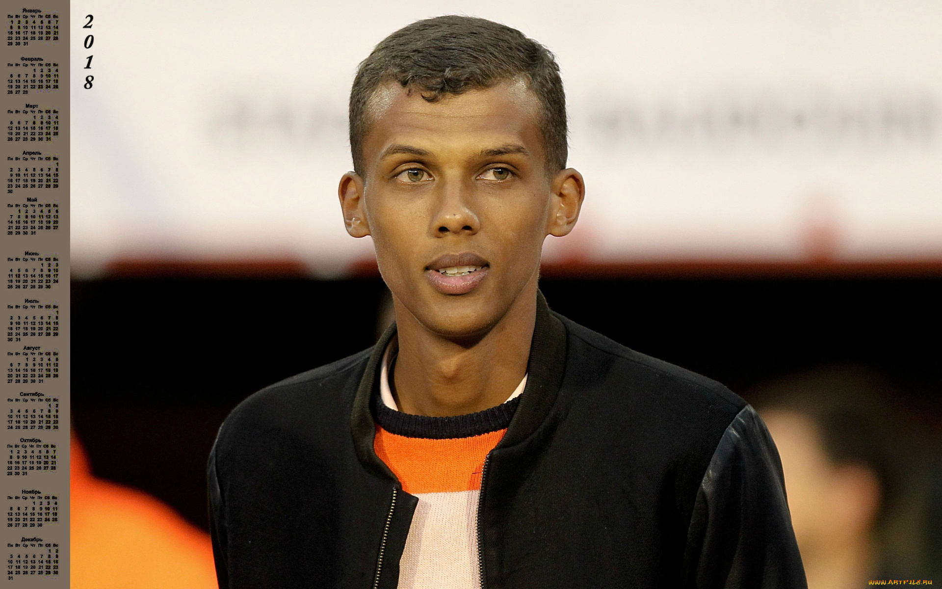 stromae, pol, van, aver, календари, знаменитости, лицо, певец, парень, 2018