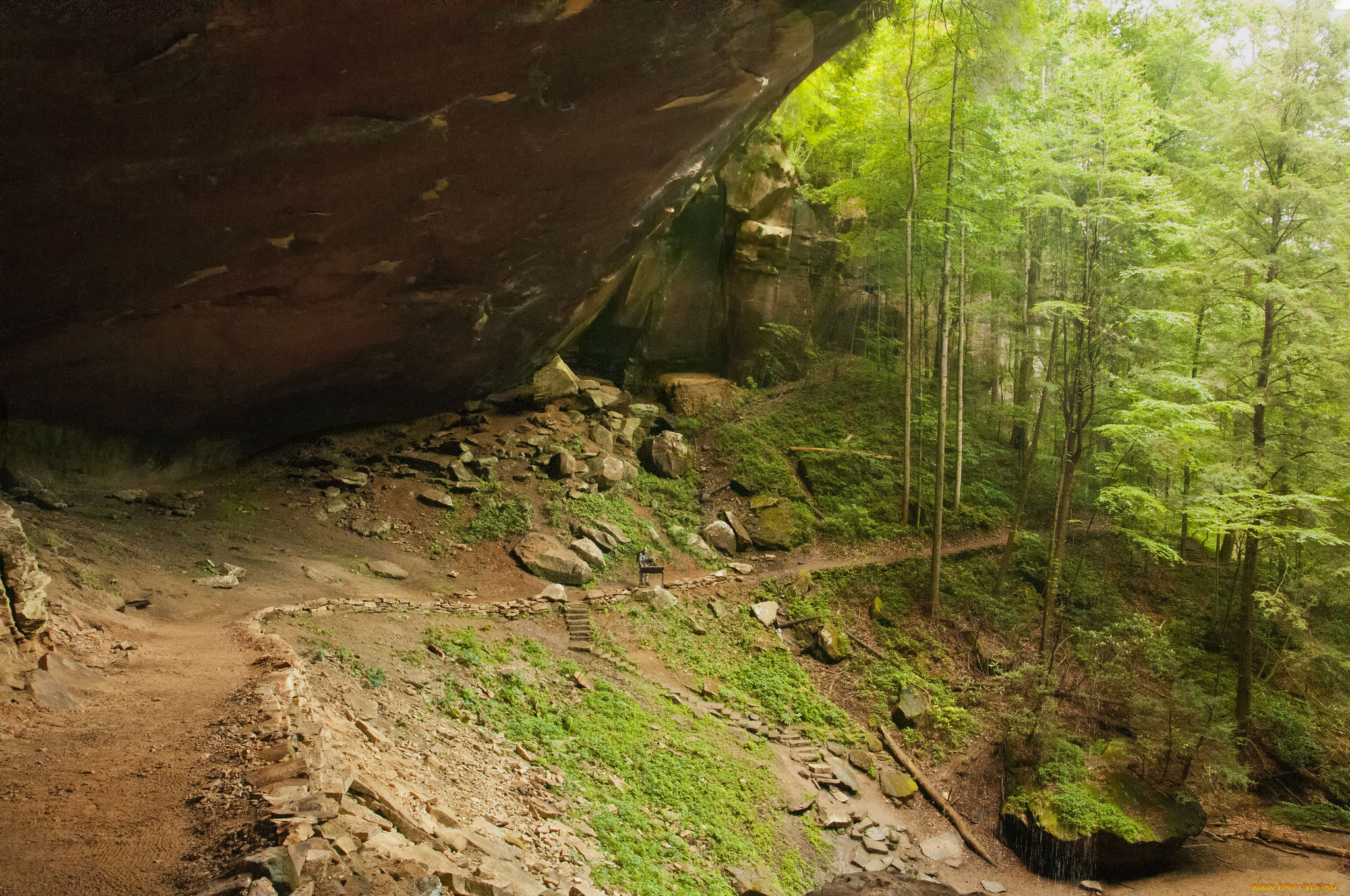 природа, дороги, простор