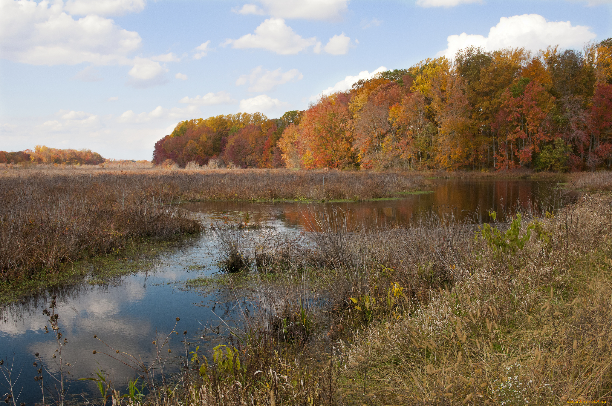 природа, реки, озера, простор