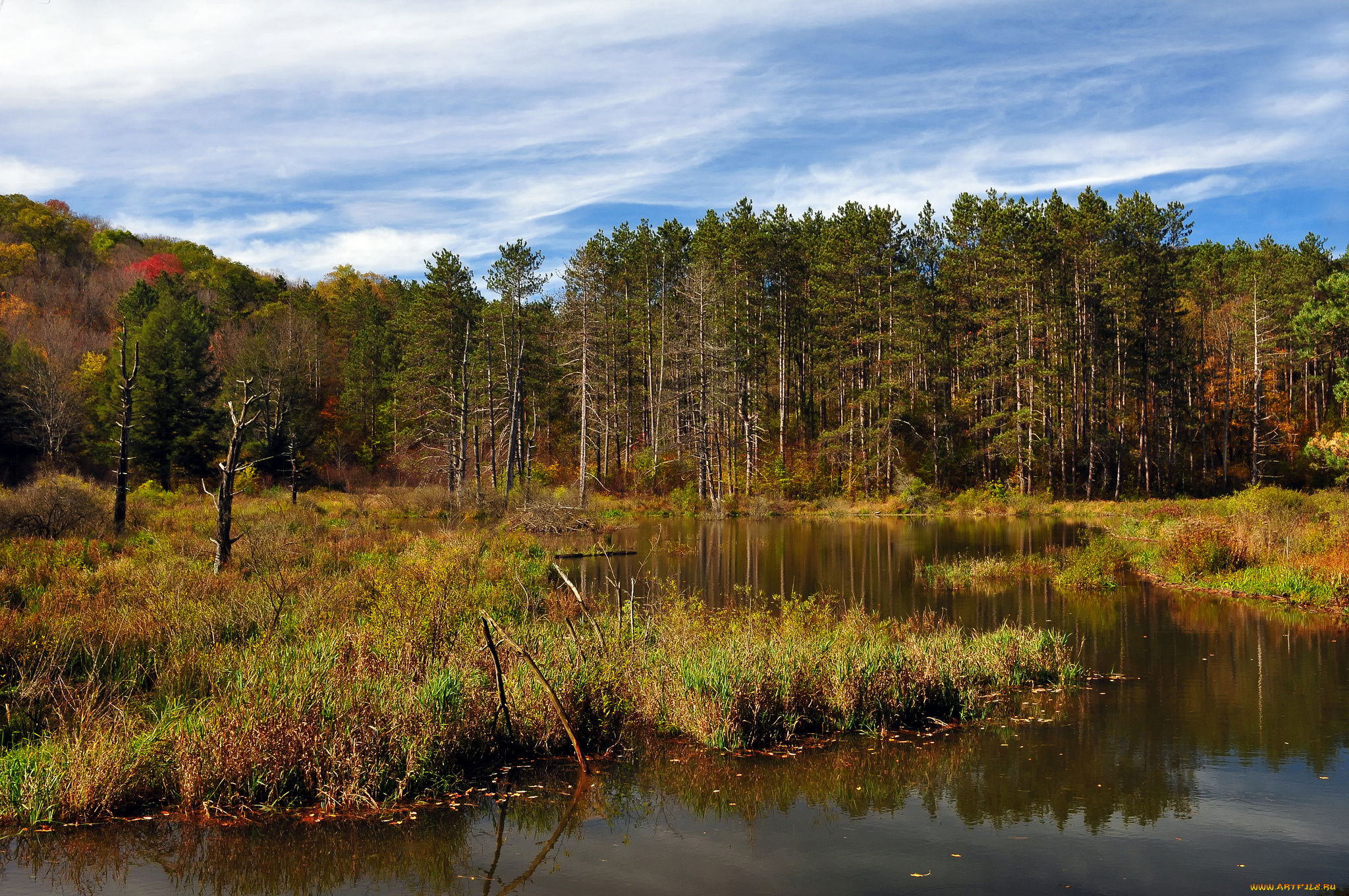 природа, реки, озера, простор