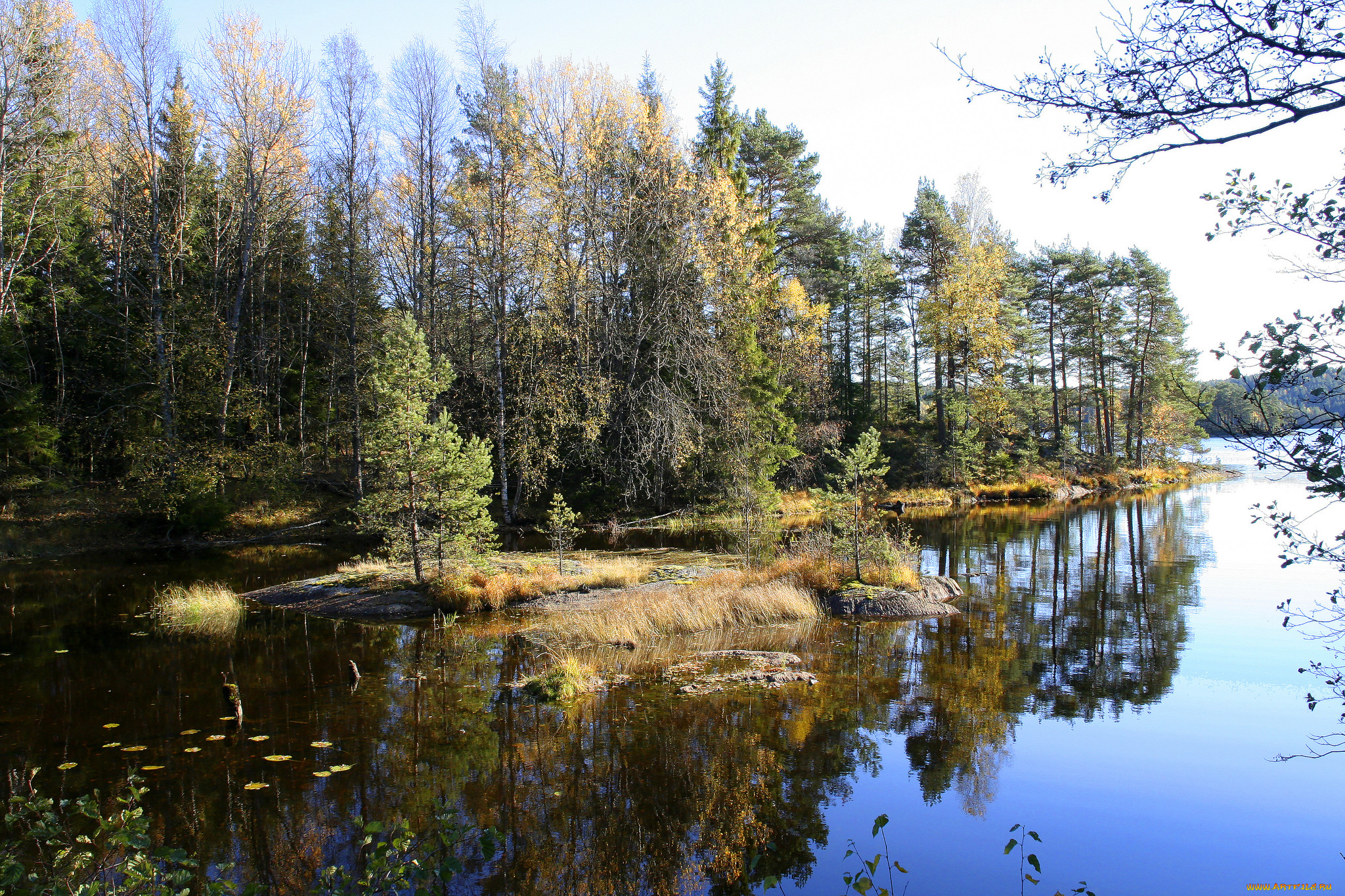 природа, реки, озера, простор