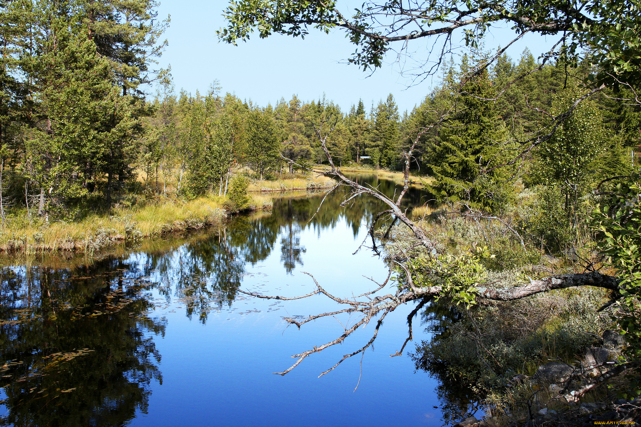 природа, реки, озера, простор