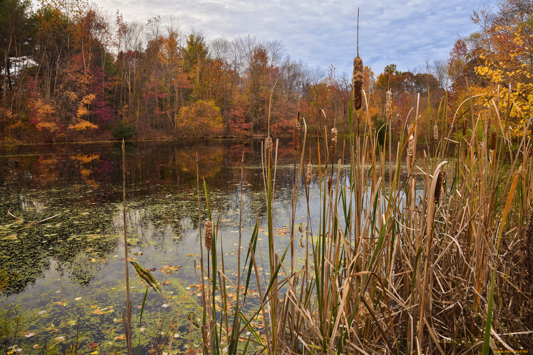 природа, реки, озера, простор