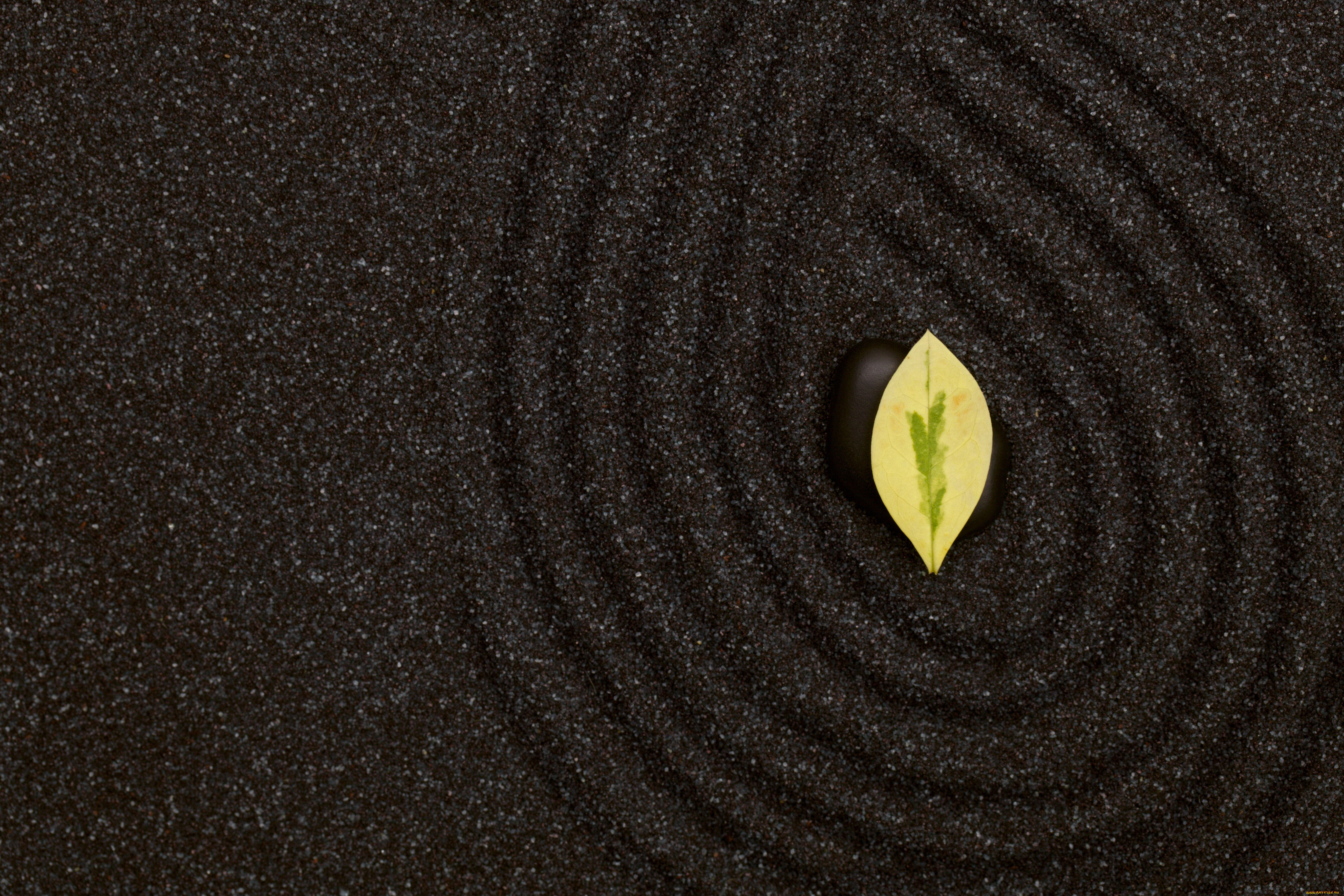 разное, текстуры, листик, камень, песок, текстура