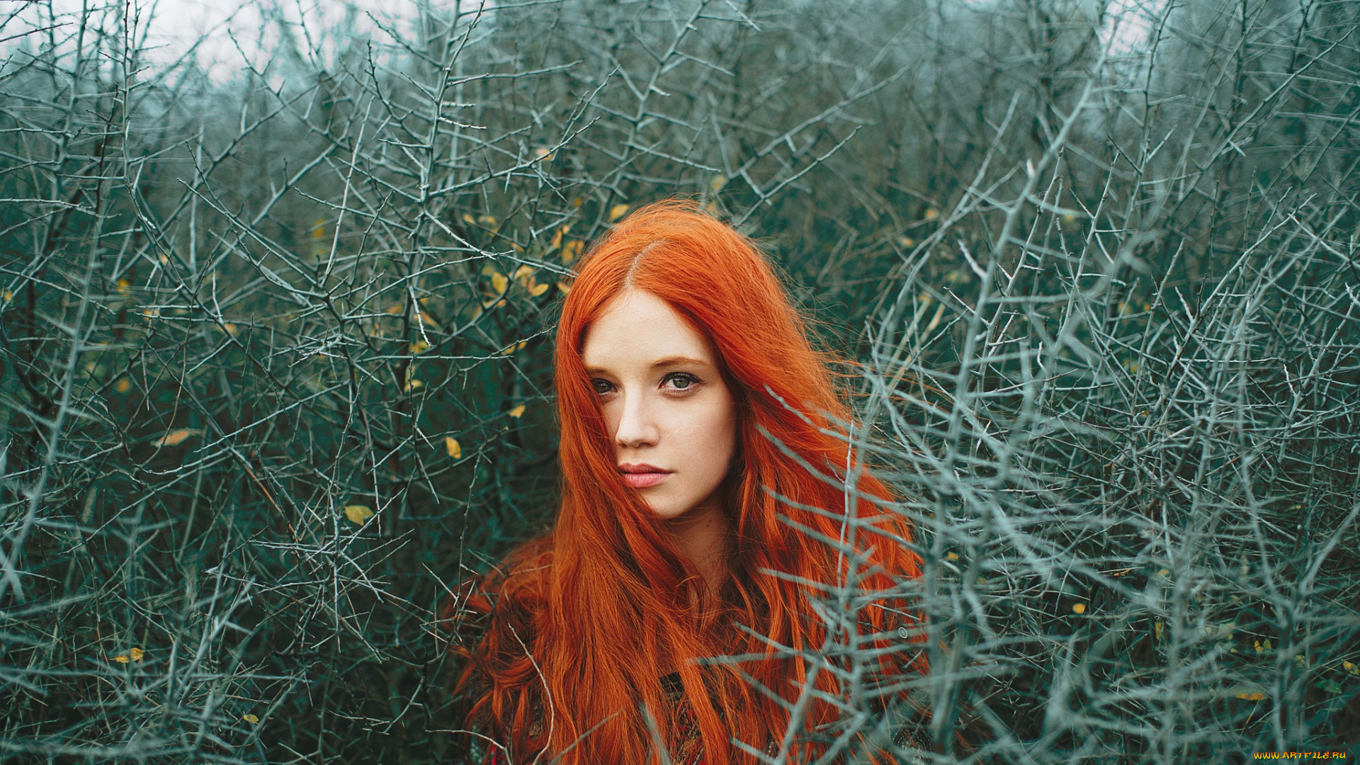 девушка, девушки, -unsort, , лица, , портреты, модель, karole