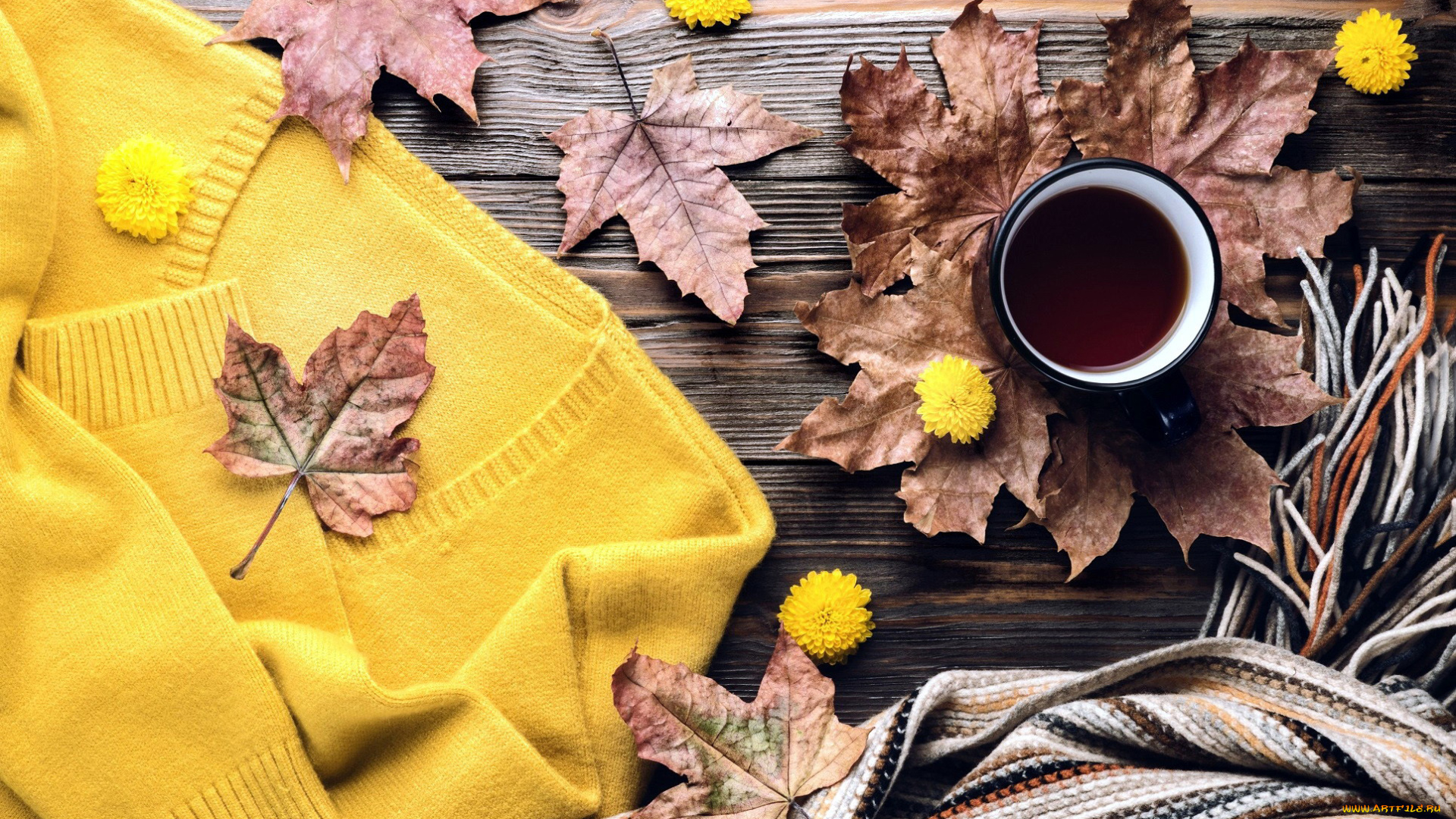 еда, кофе, , кофейные, зёрна, свитер, шарф, осень, листья