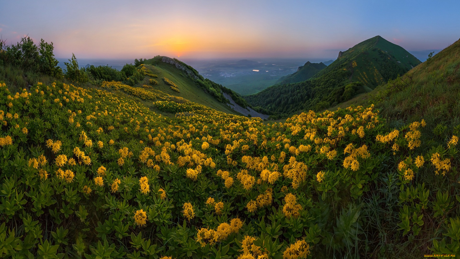 природа, луга, простор