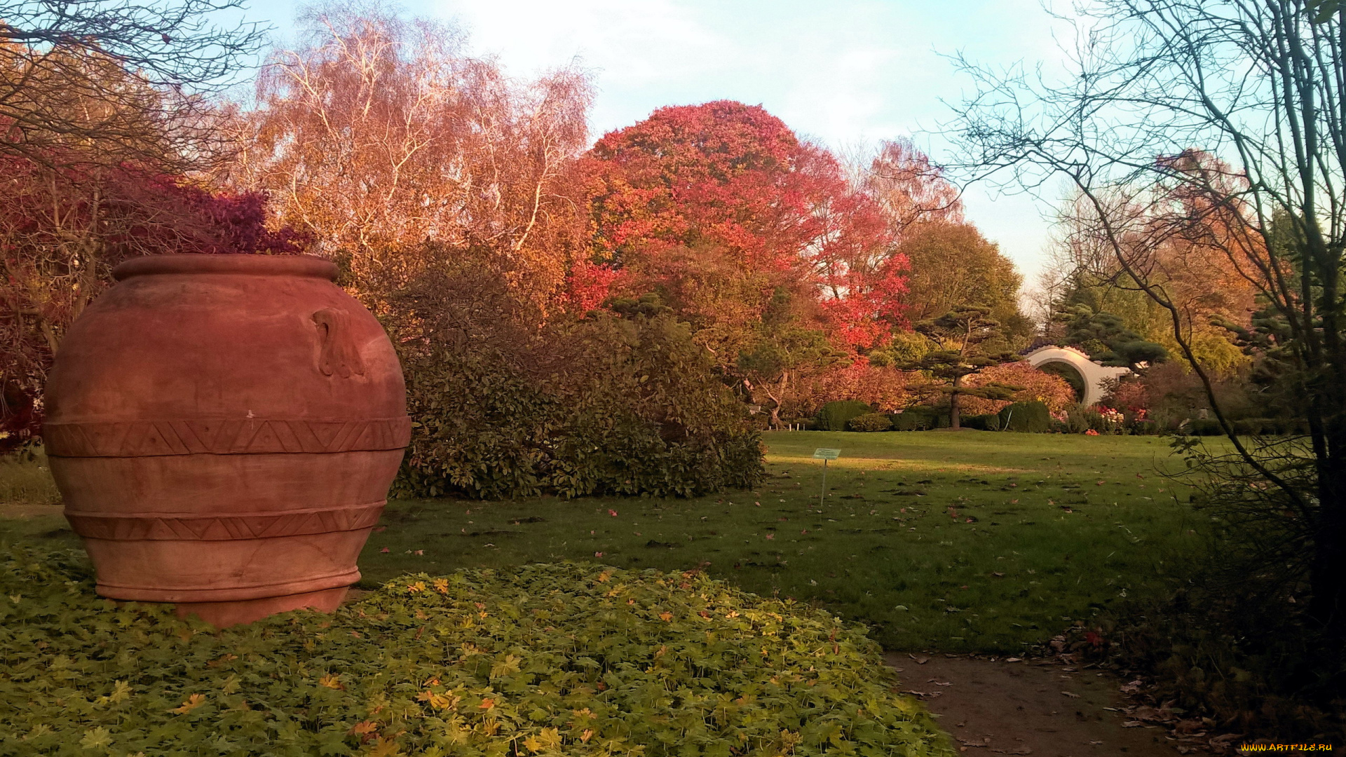 природа, парк, листопад, осень