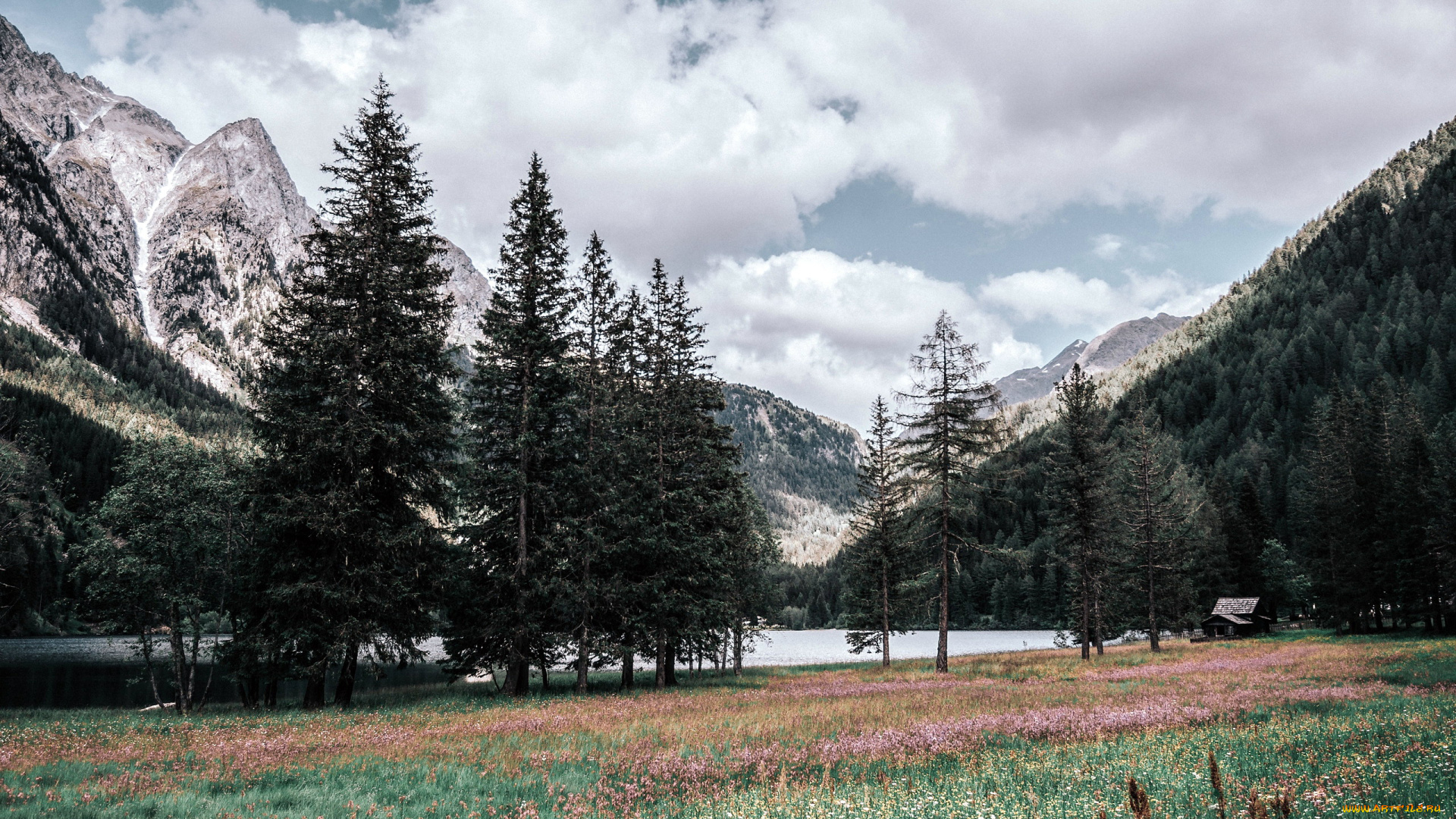 природа, пейзажи, озеро, облака, луг, деревья, горы