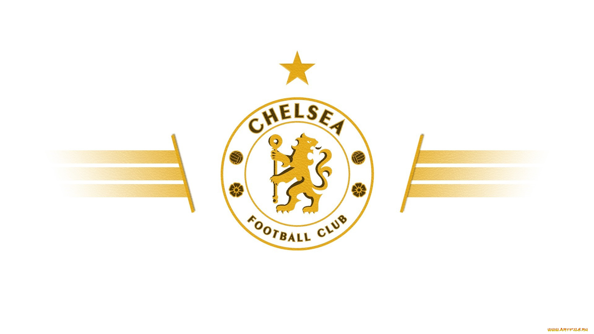 спорт, эмблемы, клубов, фон, логотип