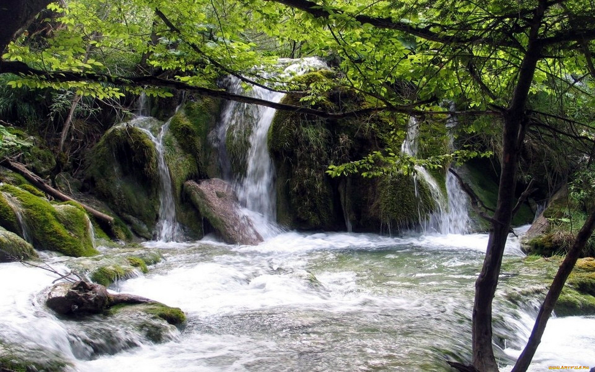 природа, водопады, вода, потоки