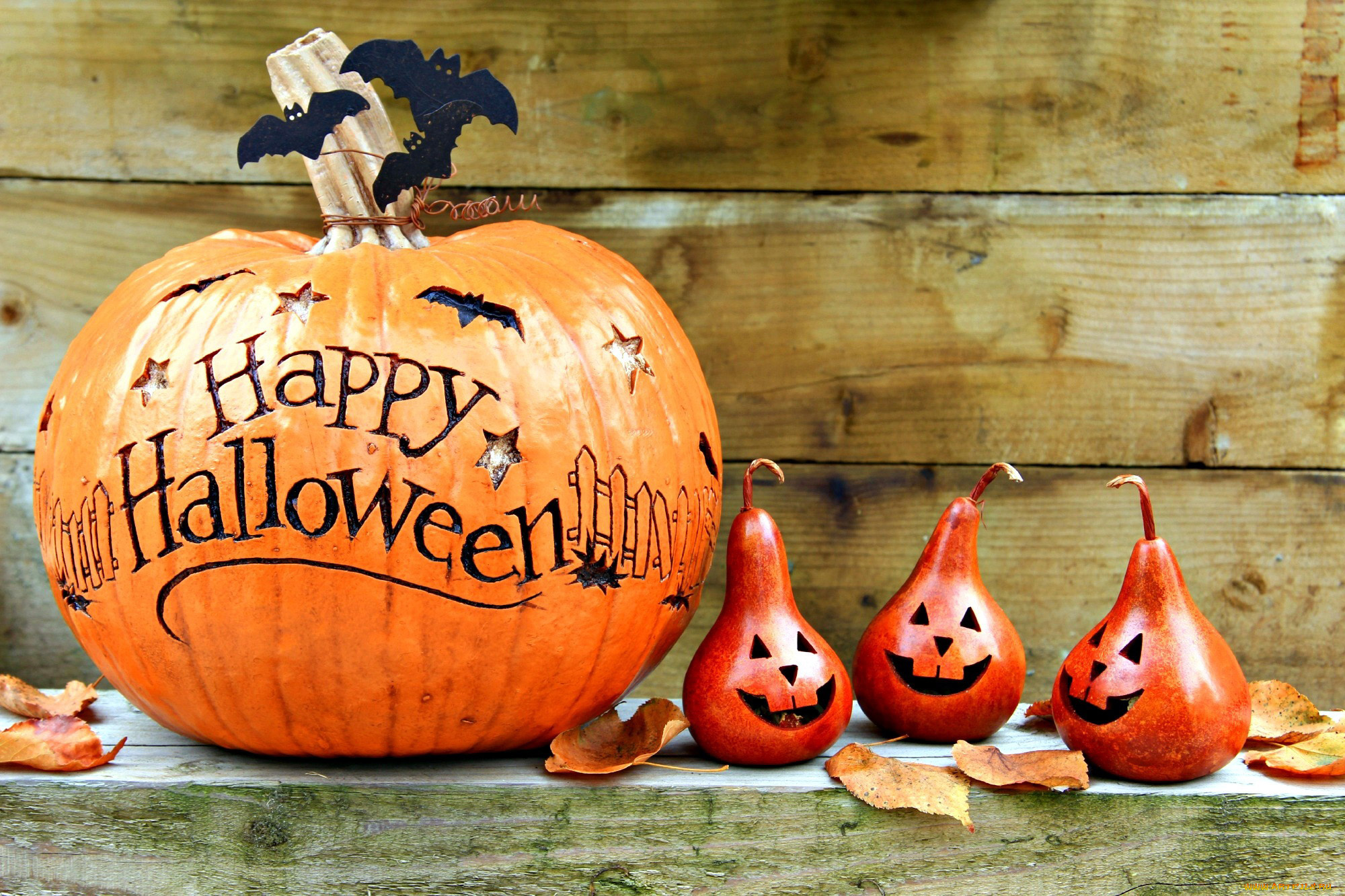 праздничные, хэллоуин, пожелание, тыква