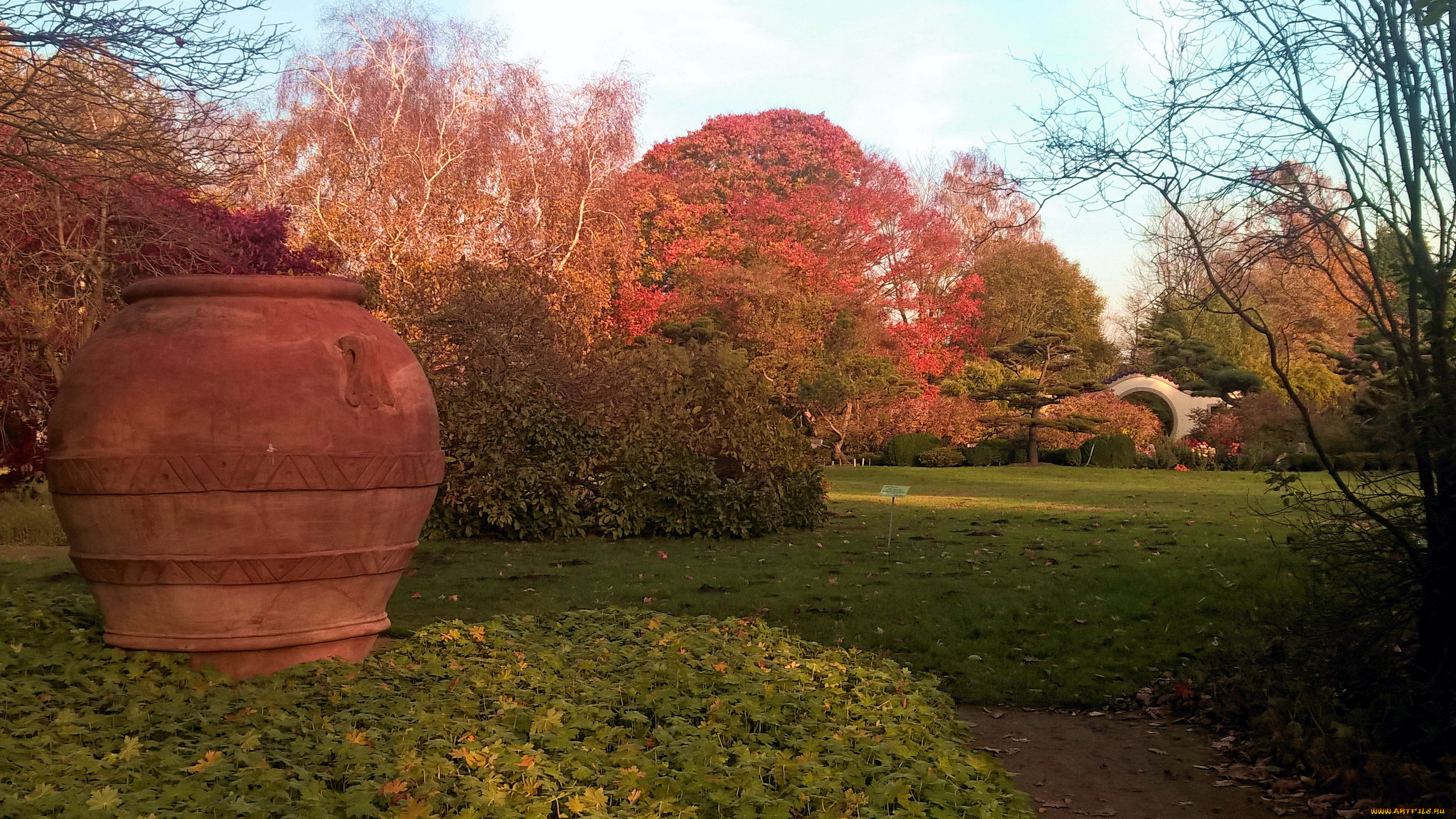 природа, парк, листопад, осень