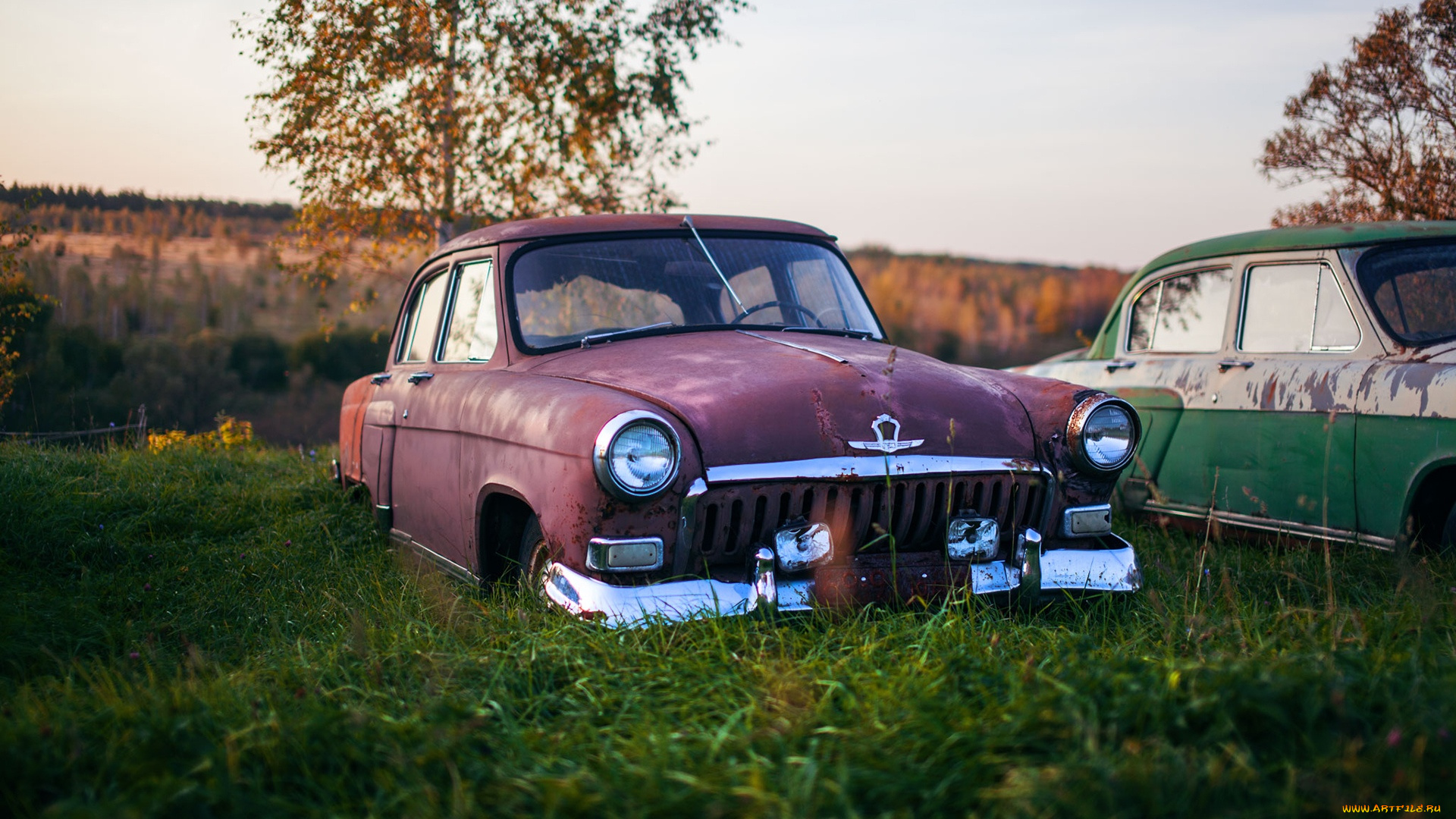 автомобили, газ, газ-21, волга