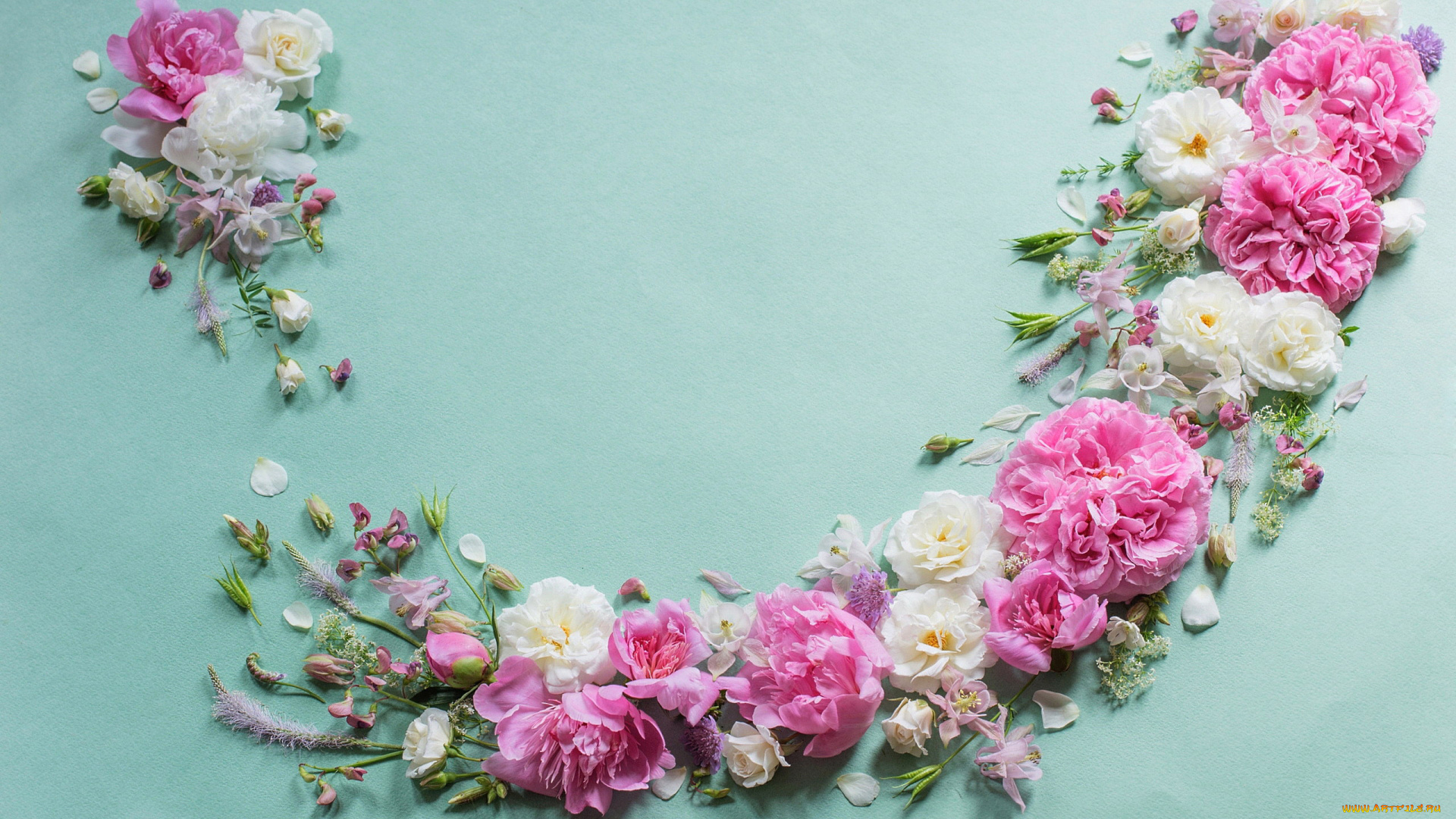 цветы, разные, вместе, розы, пионы, аквилегия