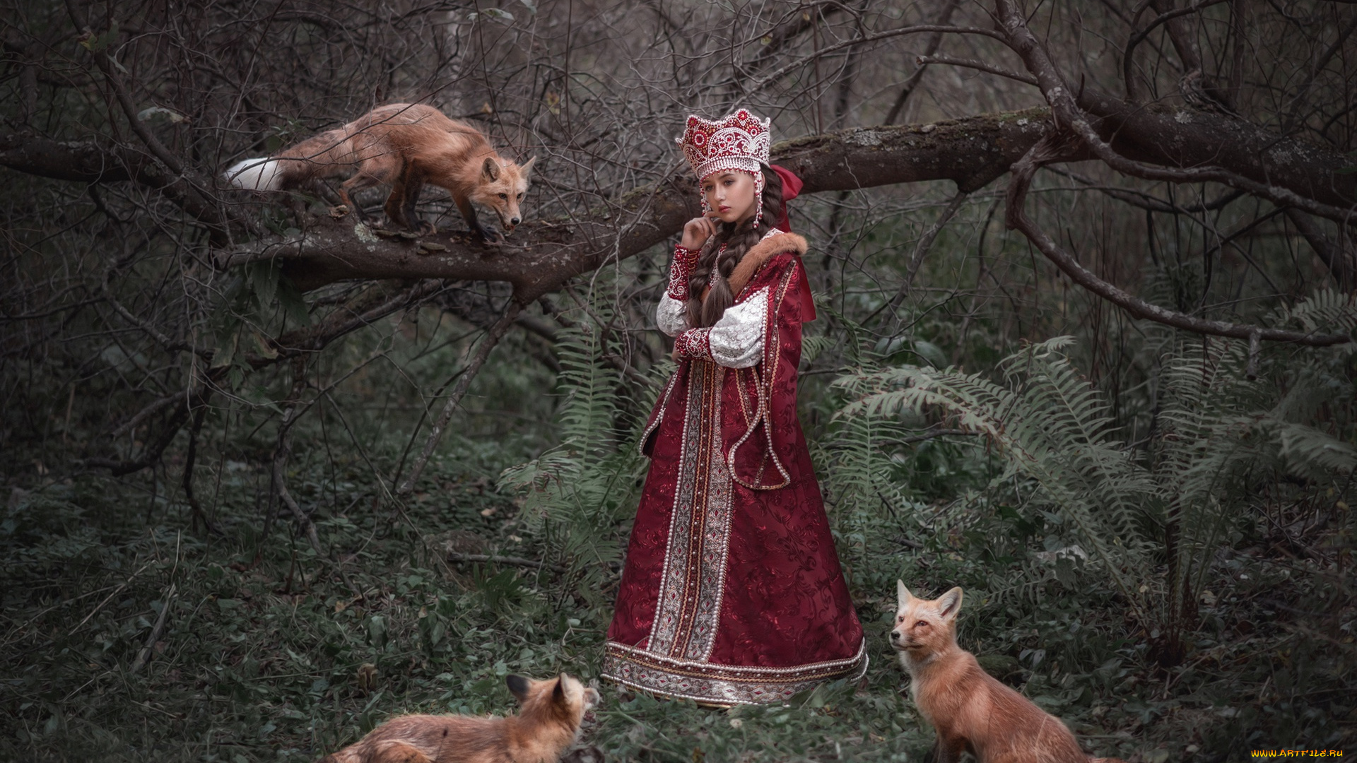 девушки, -, брюнетки, , шатенки, софья, ознобихина