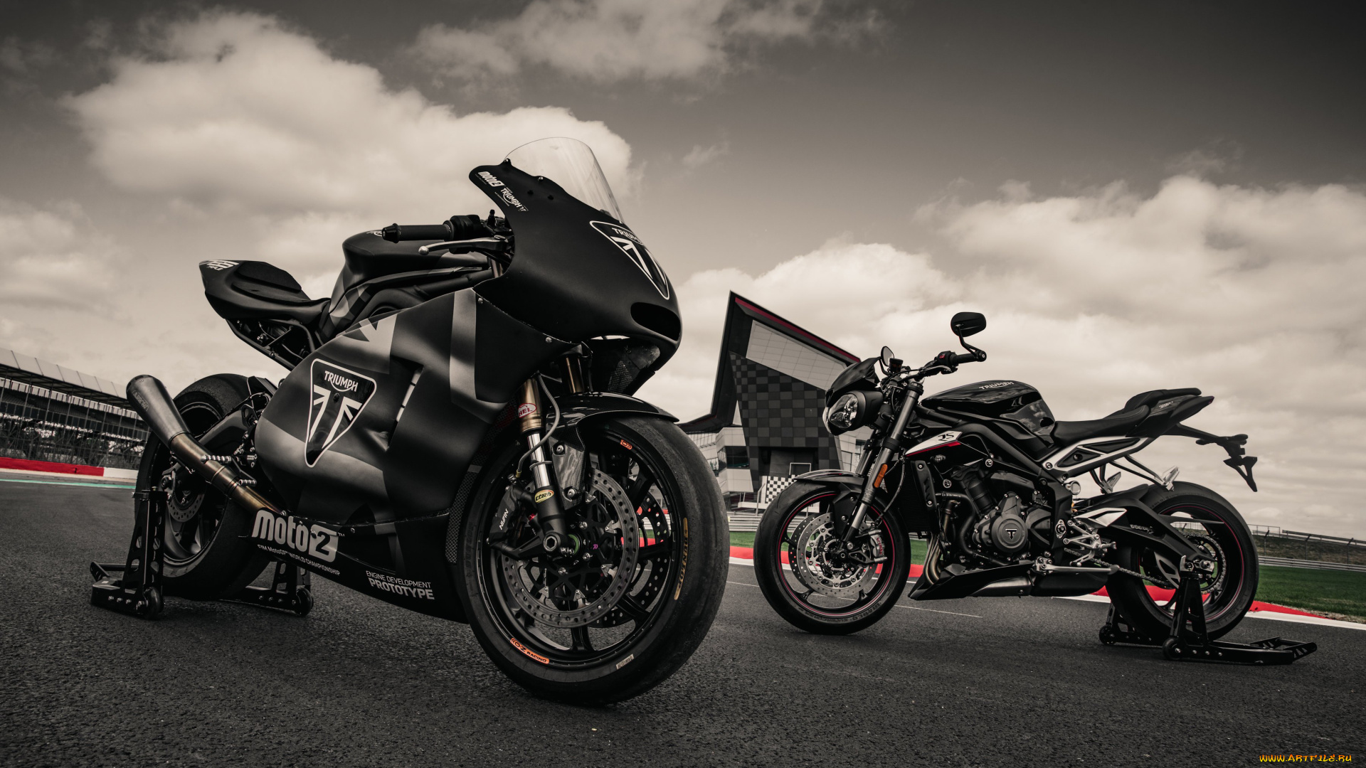 мотоциклы, triumph