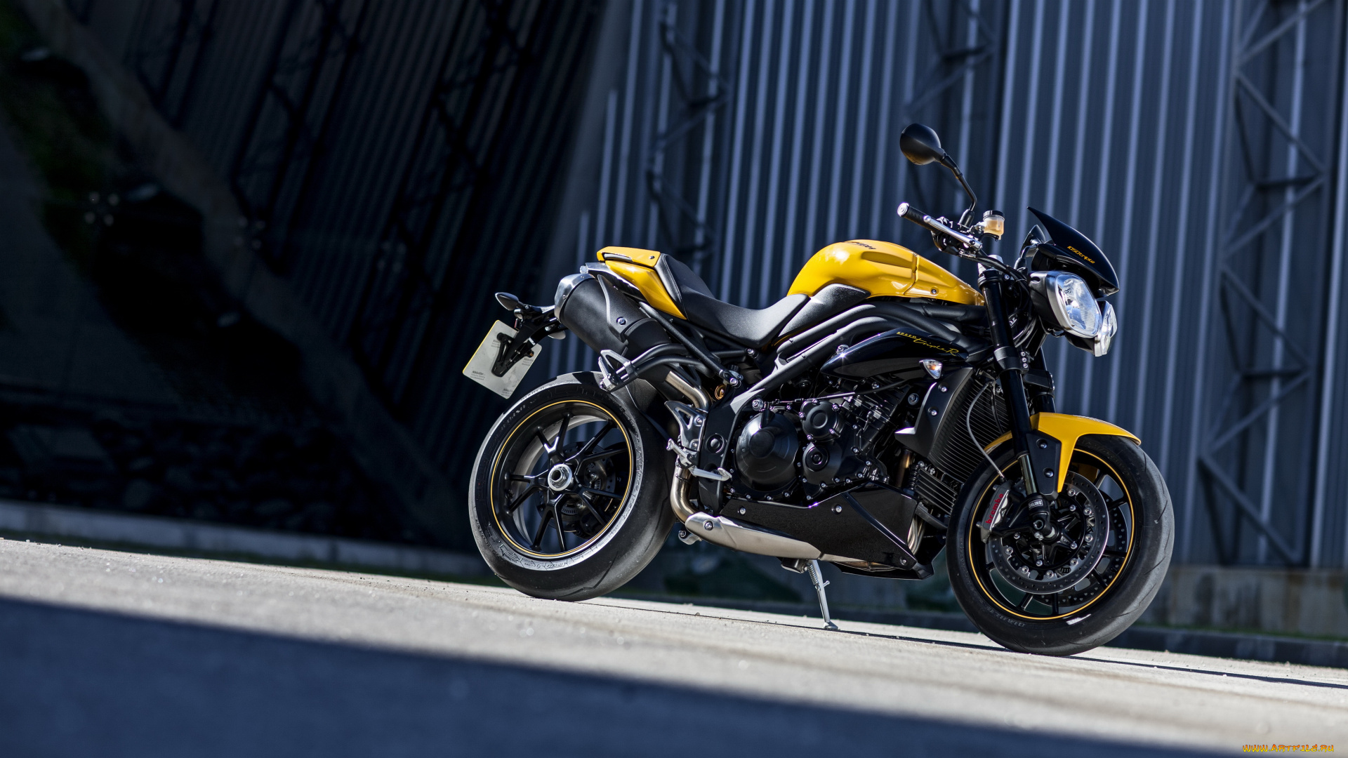 мотоциклы, triumph