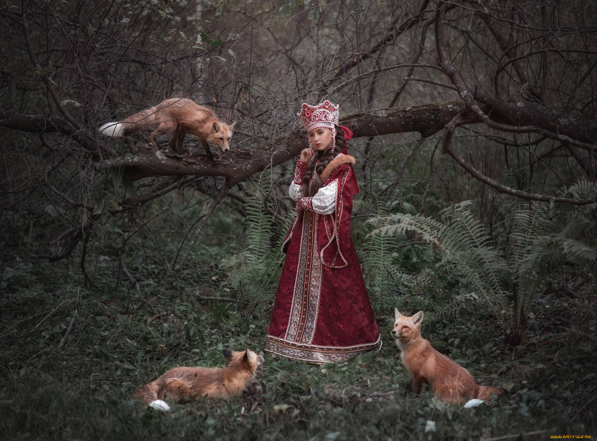 девушки, -, брюнетки, , шатенки, софья, ознобихина