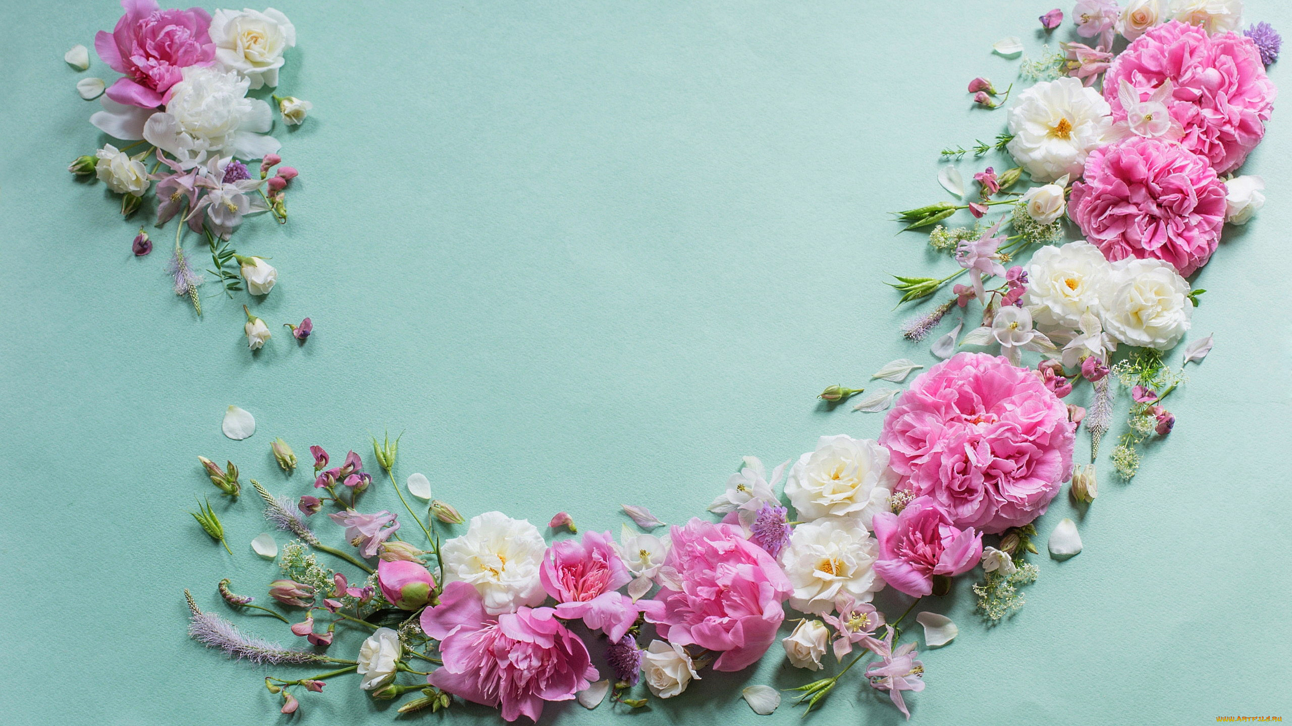 цветы, разные, вместе, розы, пионы, аквилегия