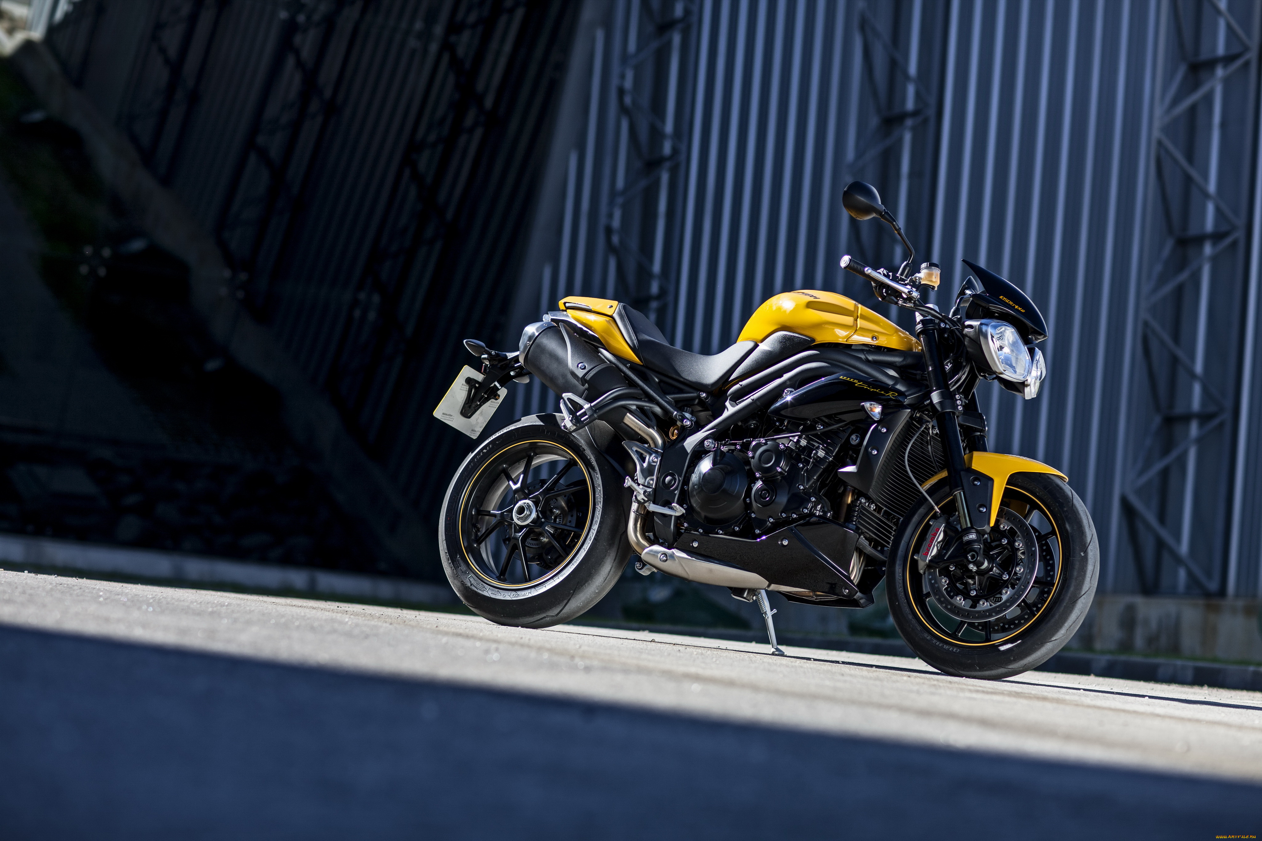 мотоциклы, triumph