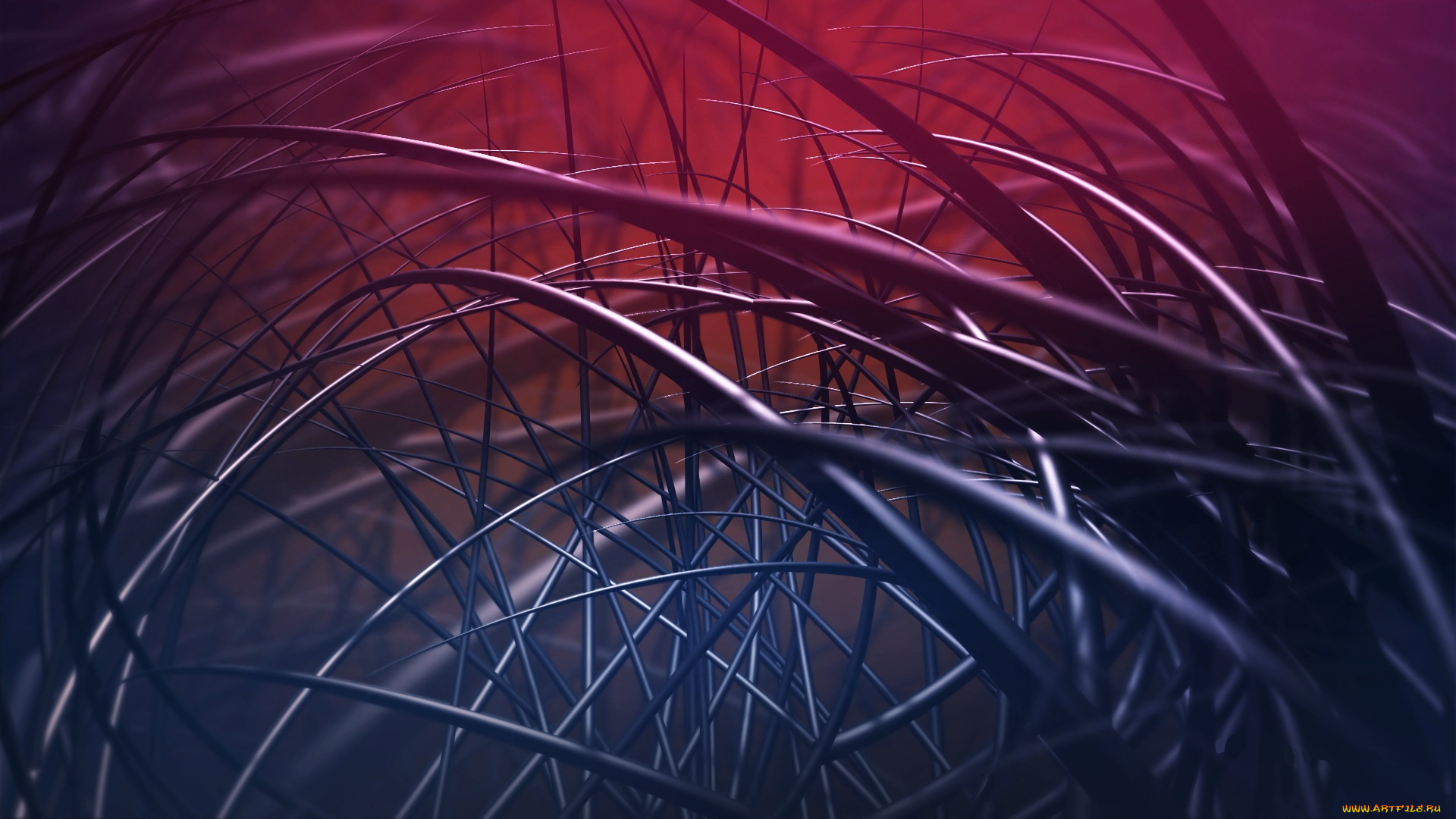 3д, графика, абстракция, , abstract, волосы, шерсть