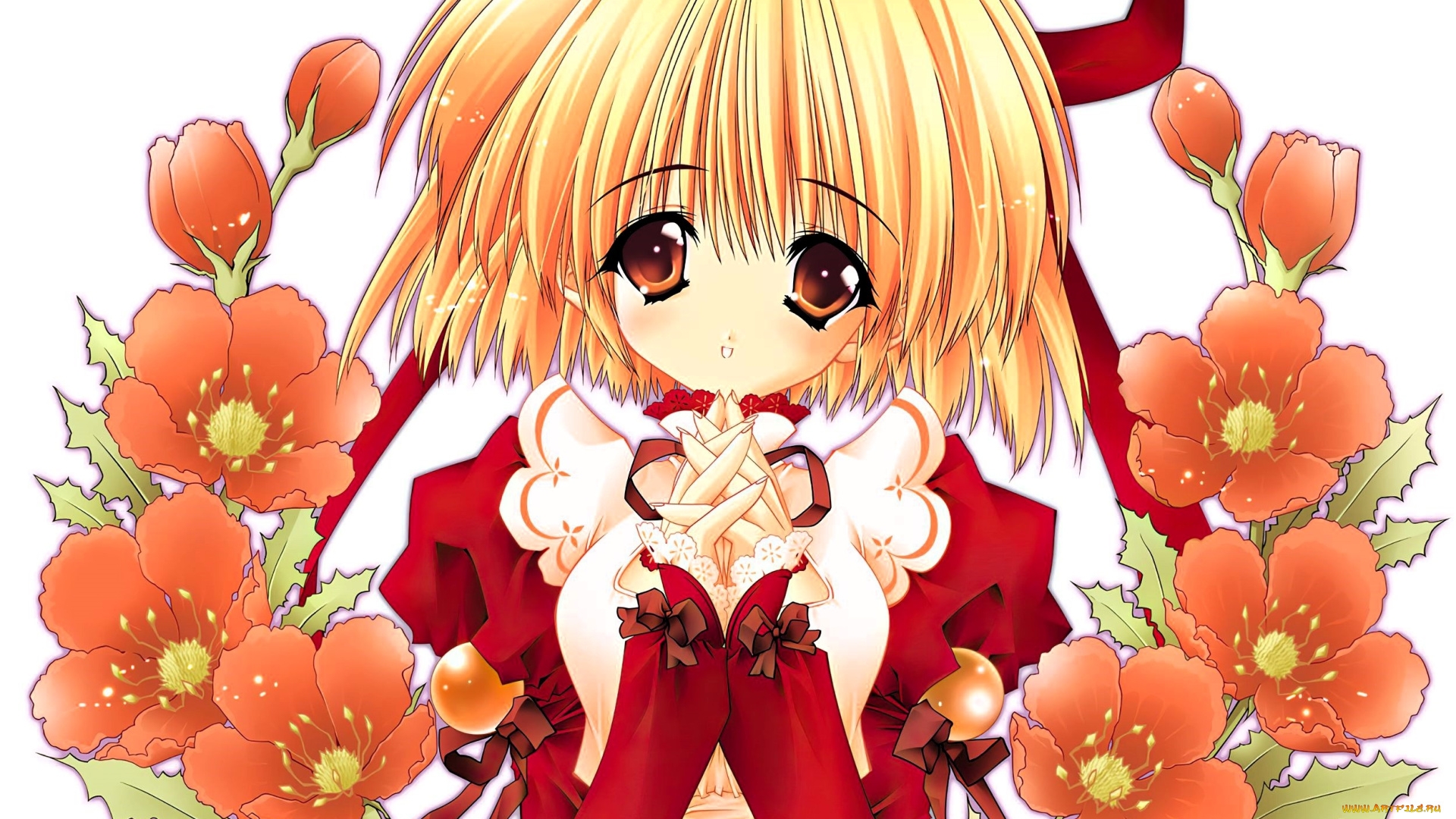 yami, to, boshi, to, hon, no, tabibito, аниме, unknown, , другое, , девочка, цветы