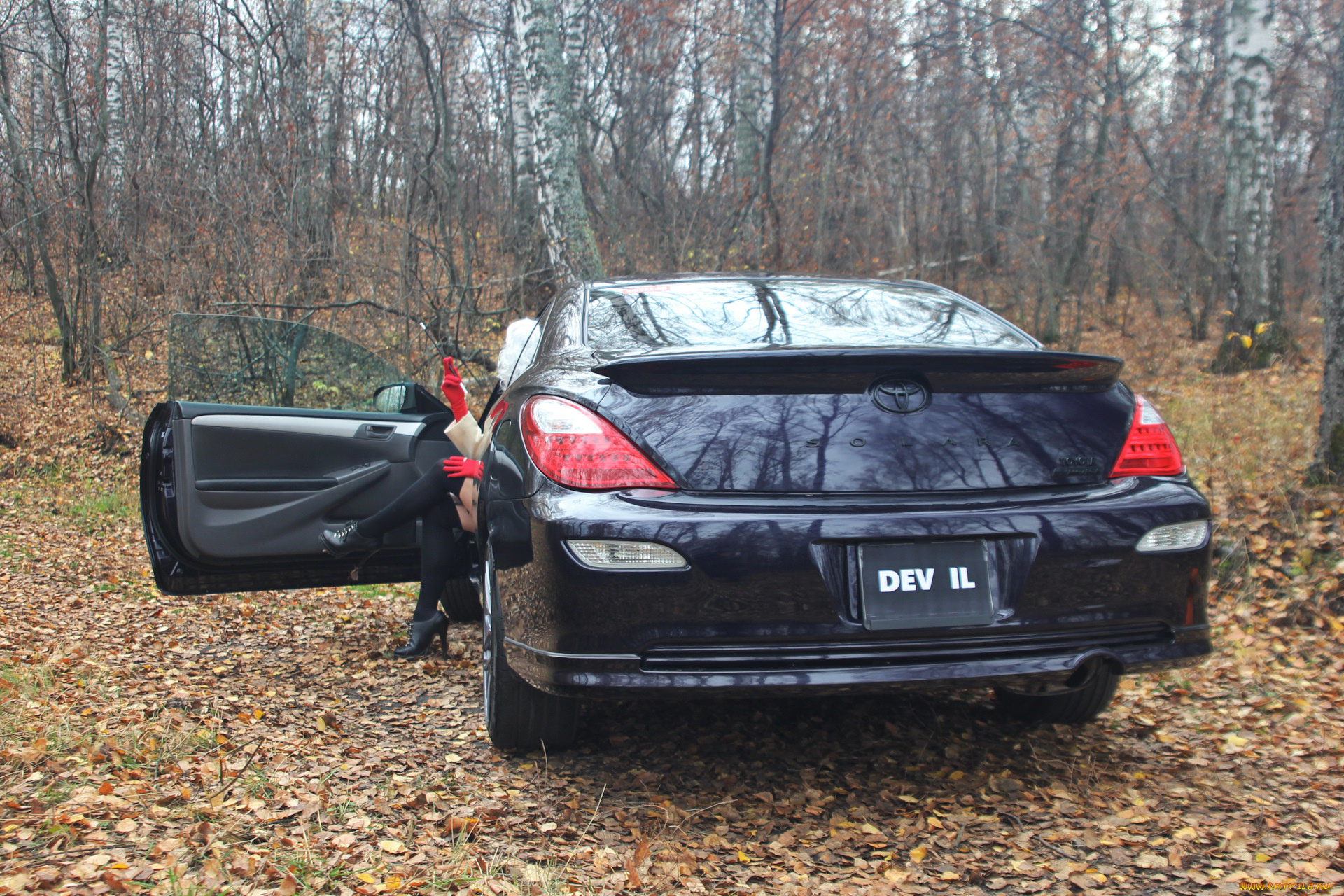 автомобили, -авто, с, девушками, toyota, solara, сoupe, amethyst