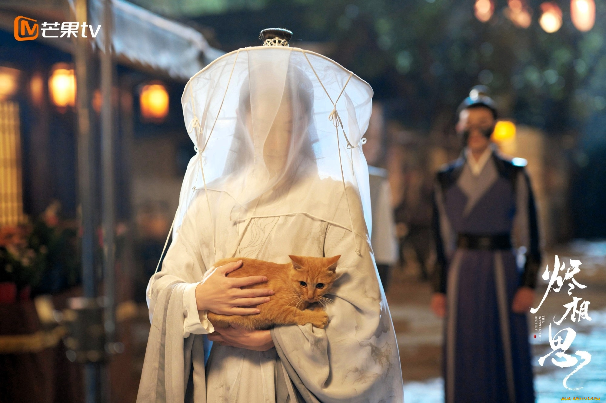 кино, фильмы, the, inextricable, destiny, женщина, накидка, кот