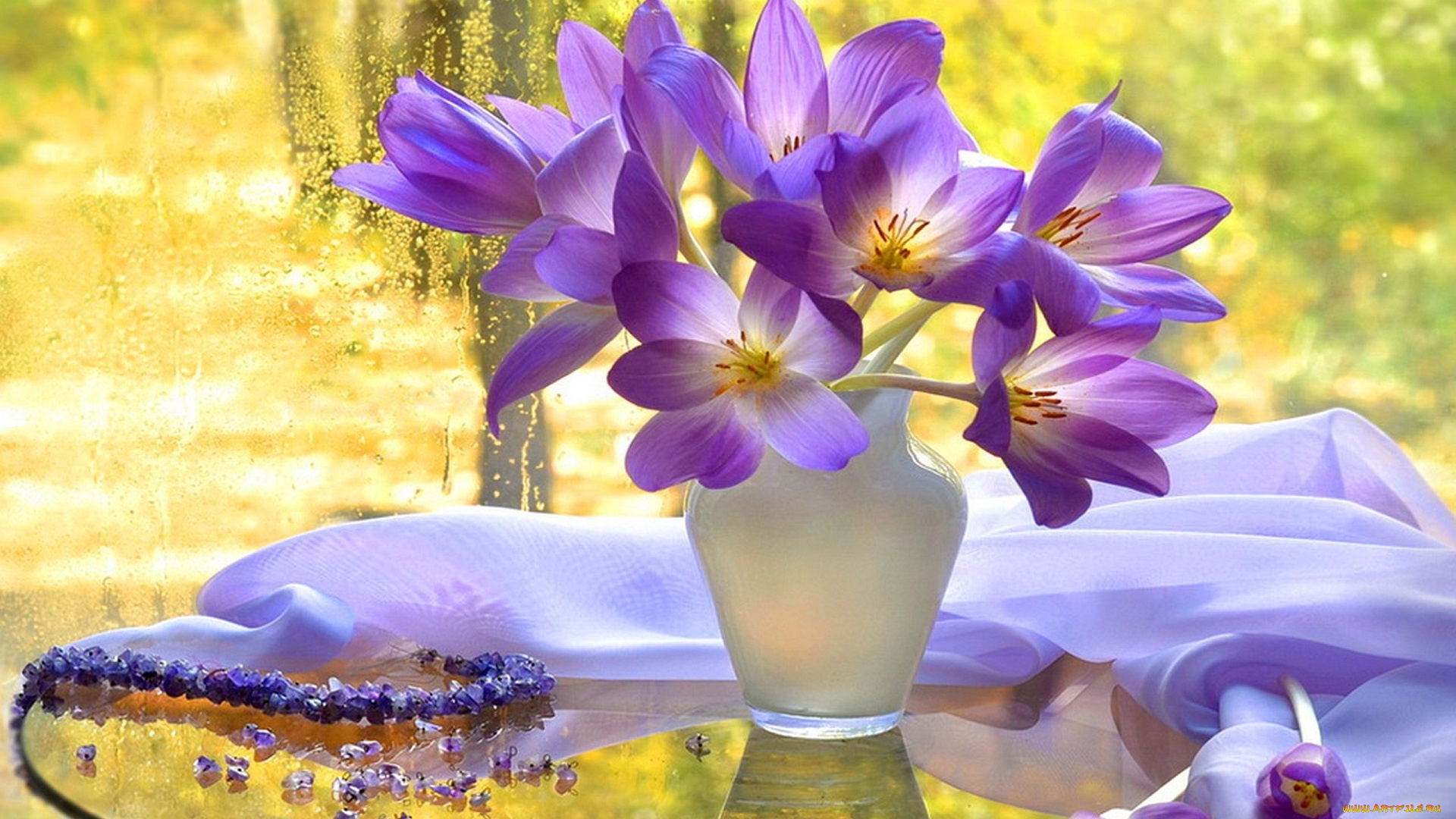 цветы, крокусы