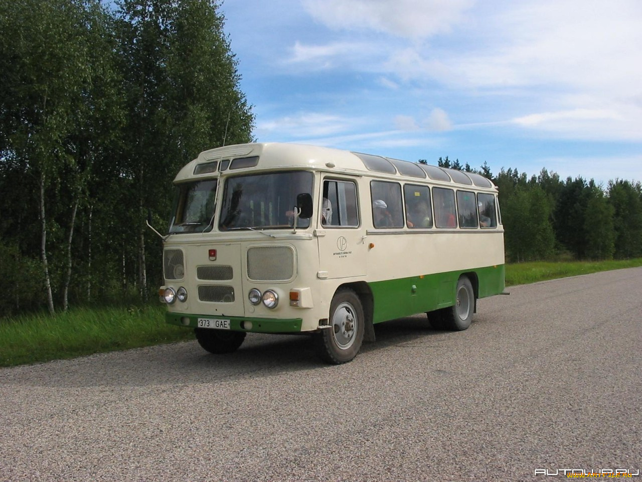 автомобили, автобусы