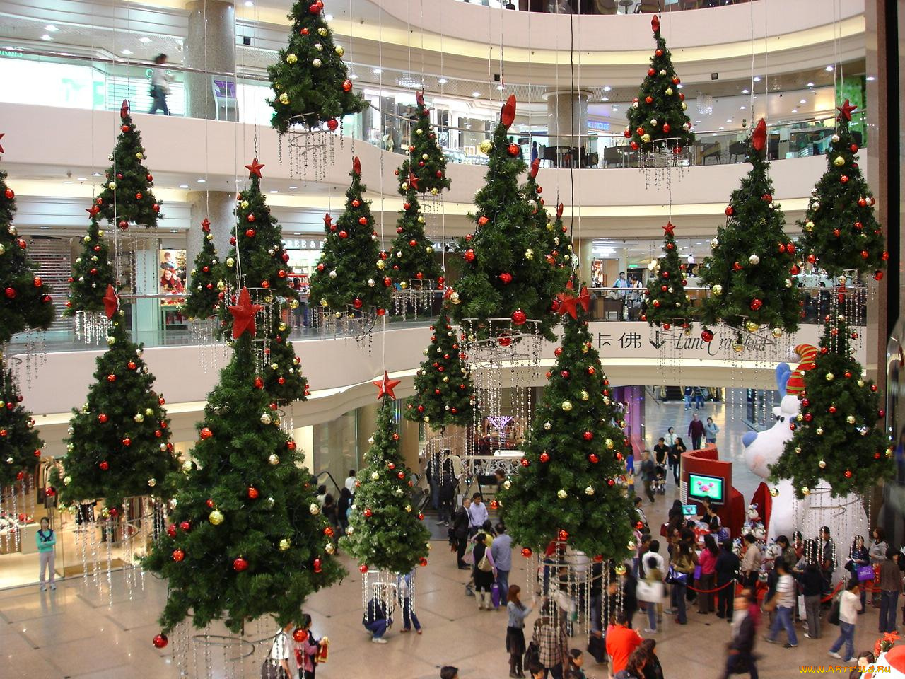 праздничные, Ёлки