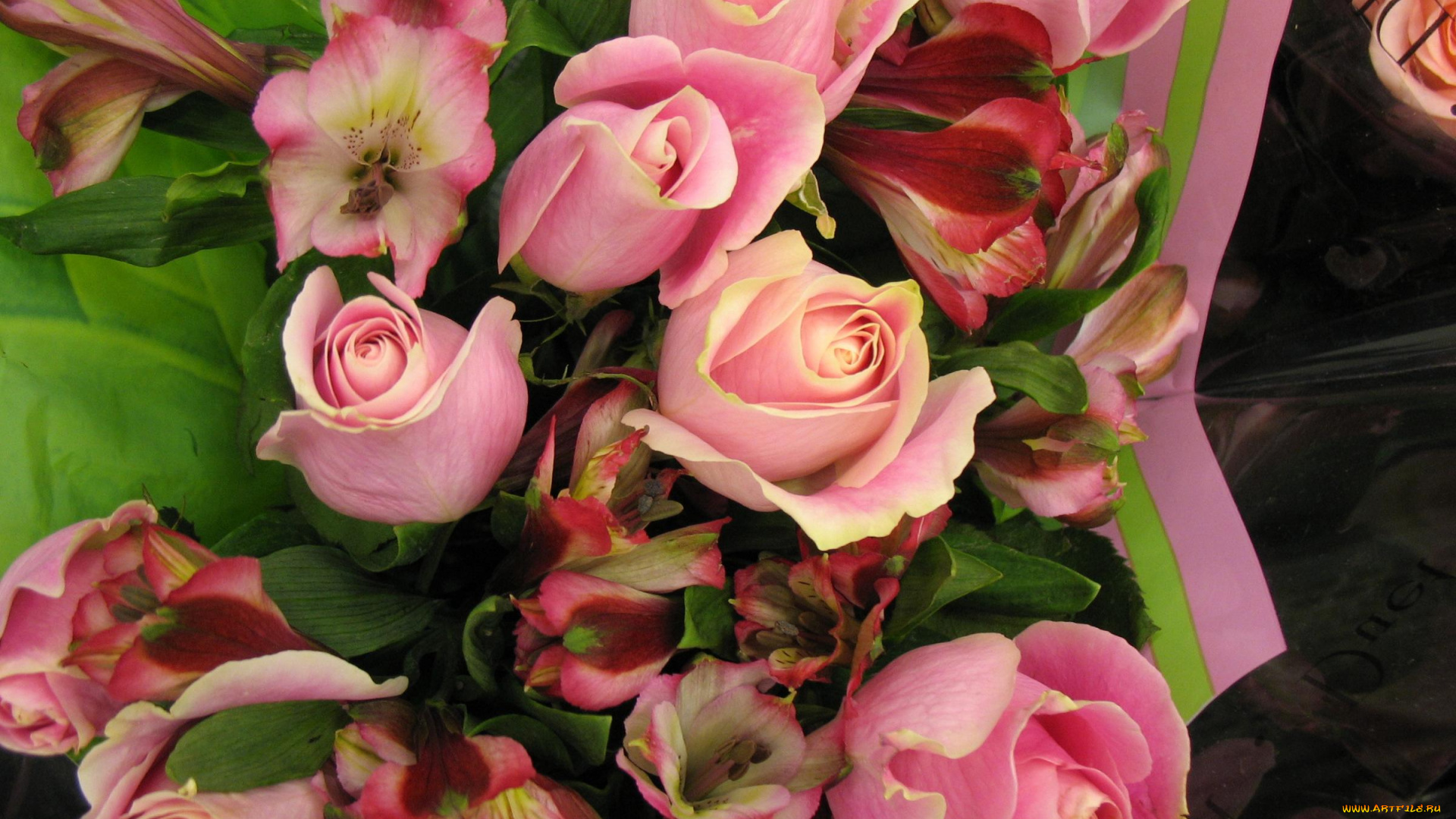 цветы, разные, вместе