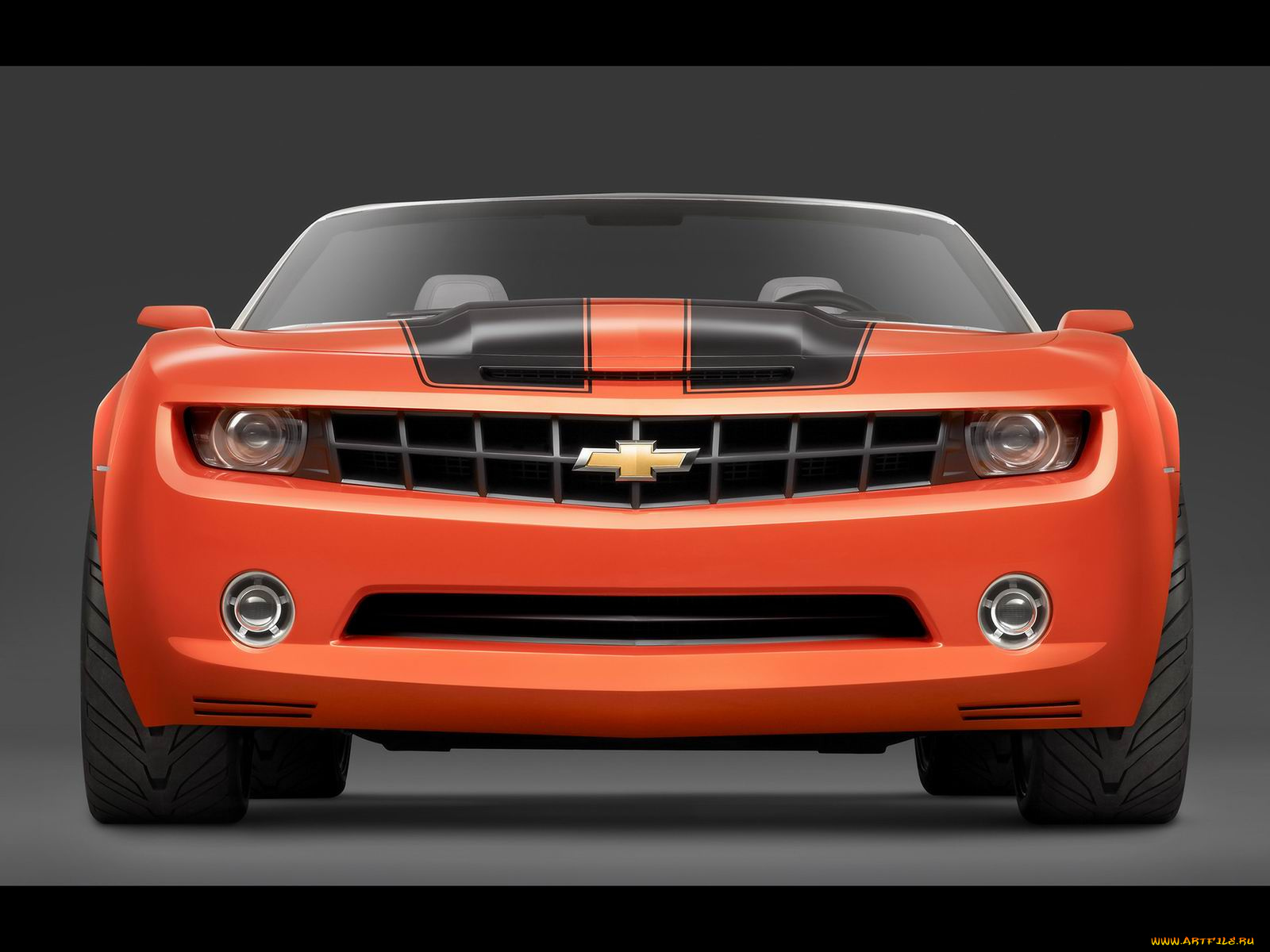 chevrolet, camaro, convertible, concept, автомобили