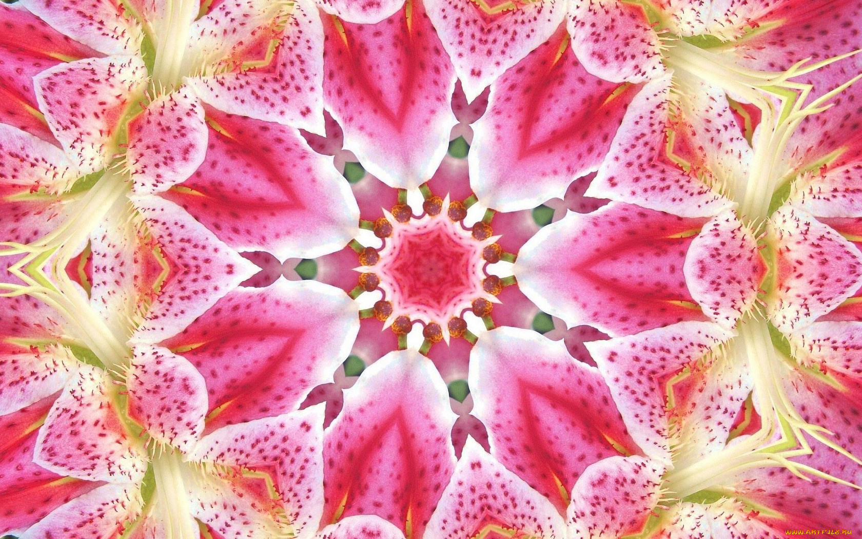 3д, графика, fractal, фракталы