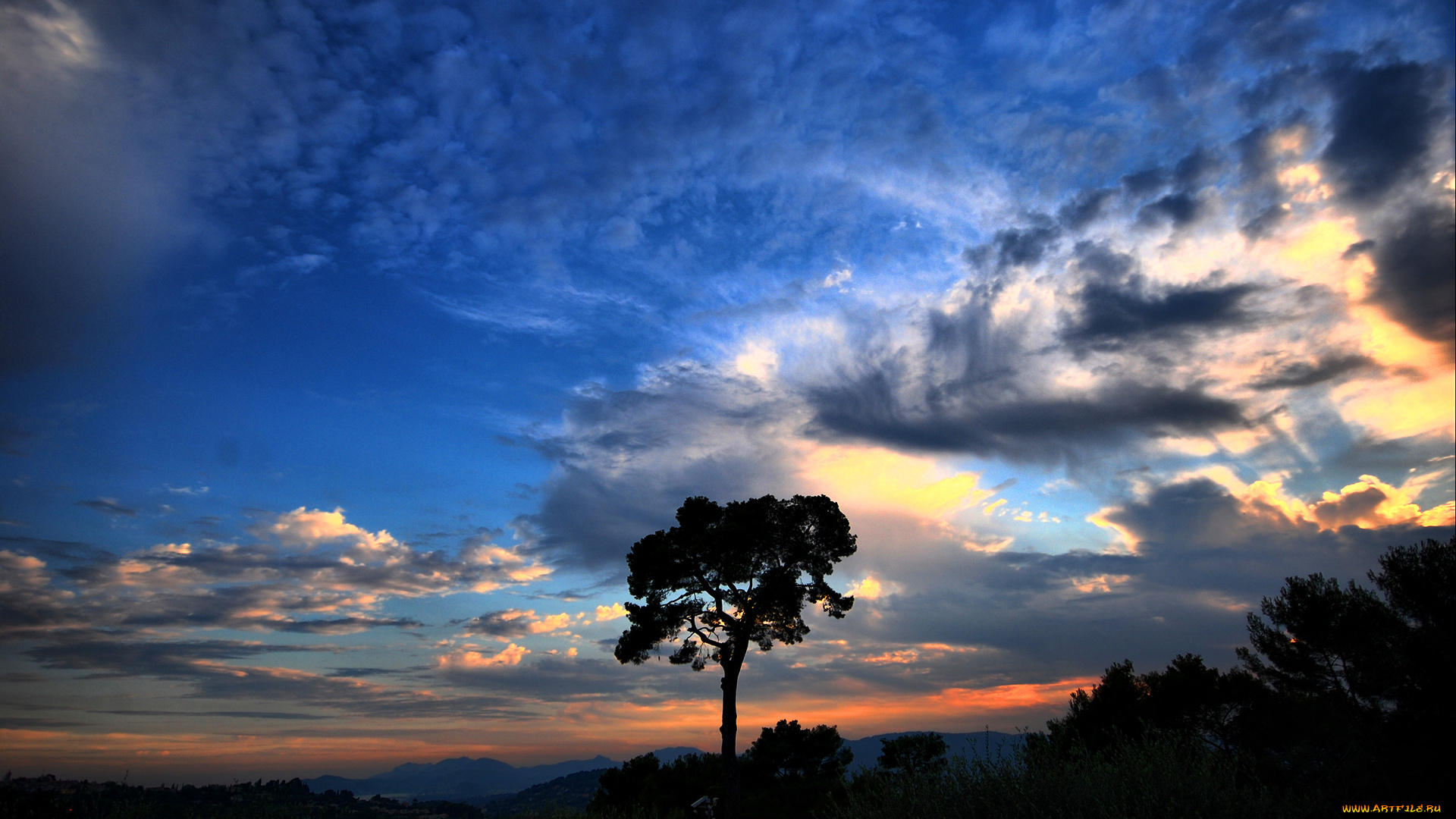 природа, деревья