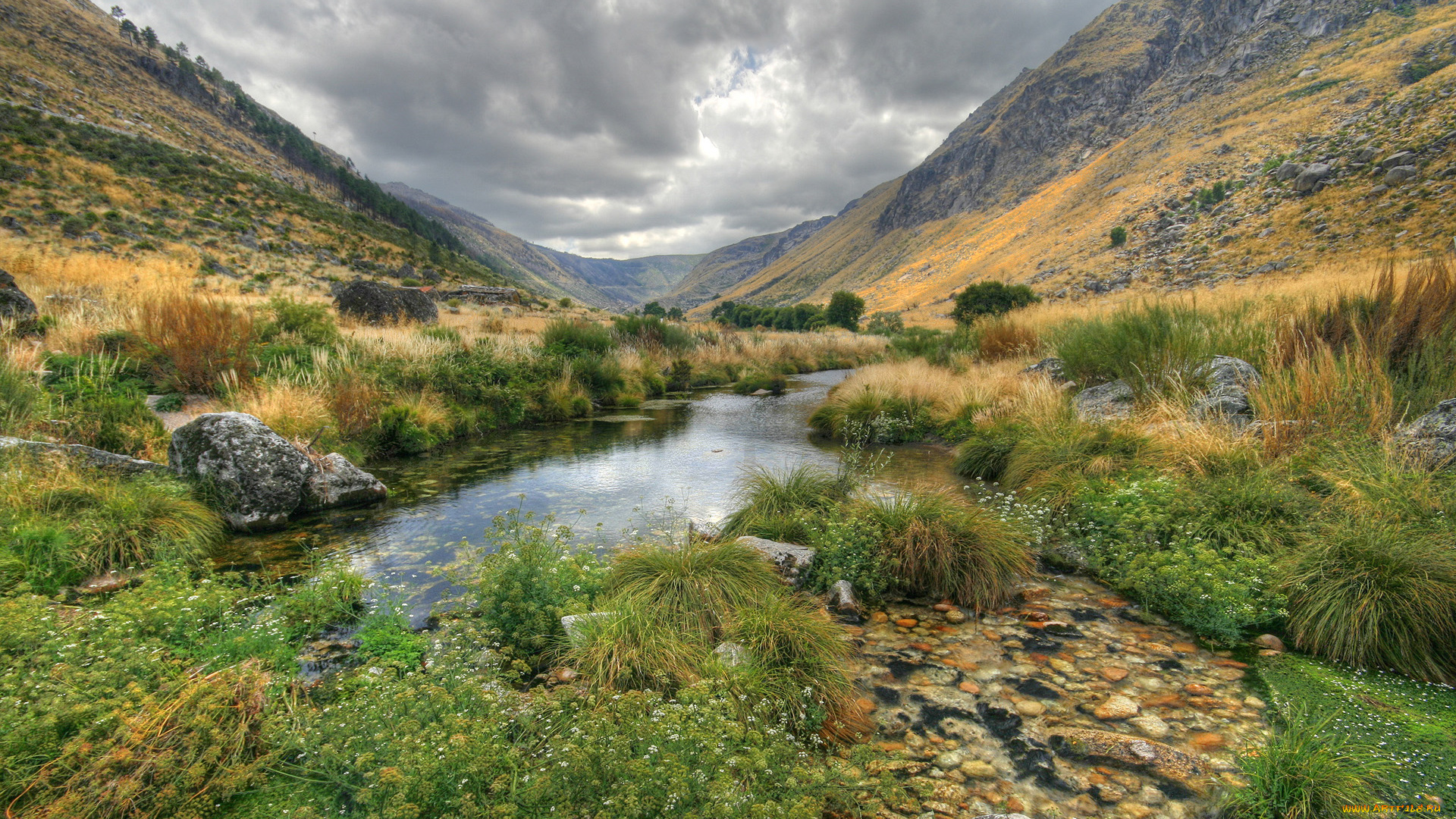 природа, реки, озера