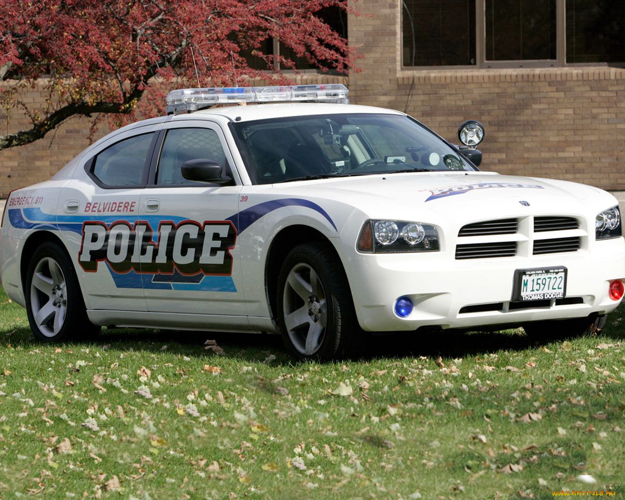 автомобили, полиция