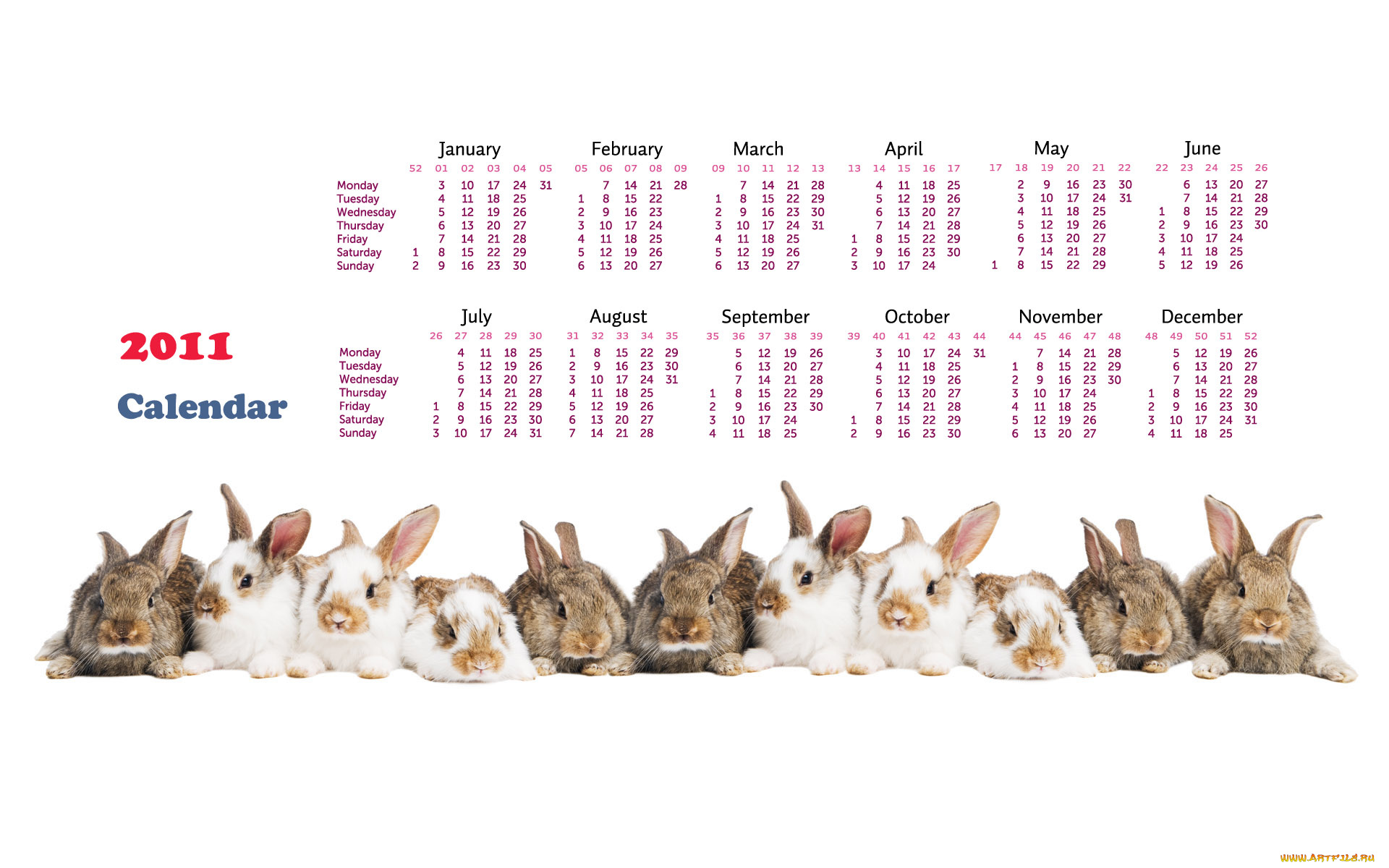 календари, животные