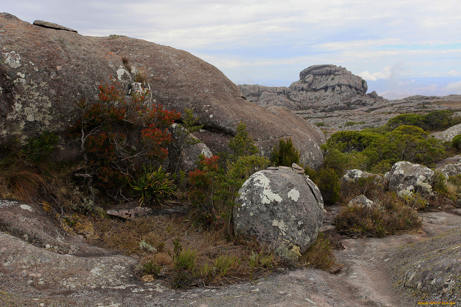 мадагаскар, природа, камни, минералы, горы, мох