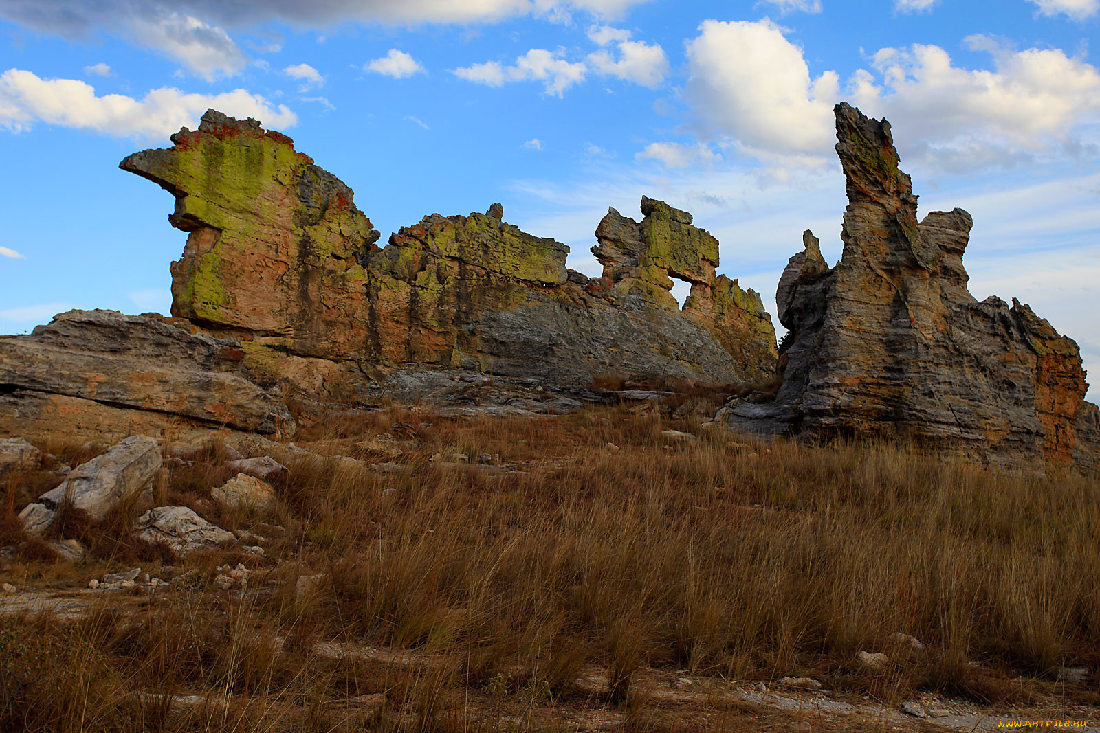 мадагаскар, природа, камни, минералы, скалы, сухостой