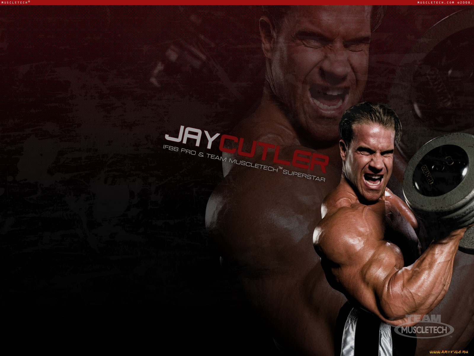 muscletech, бренды, jay, cutler
