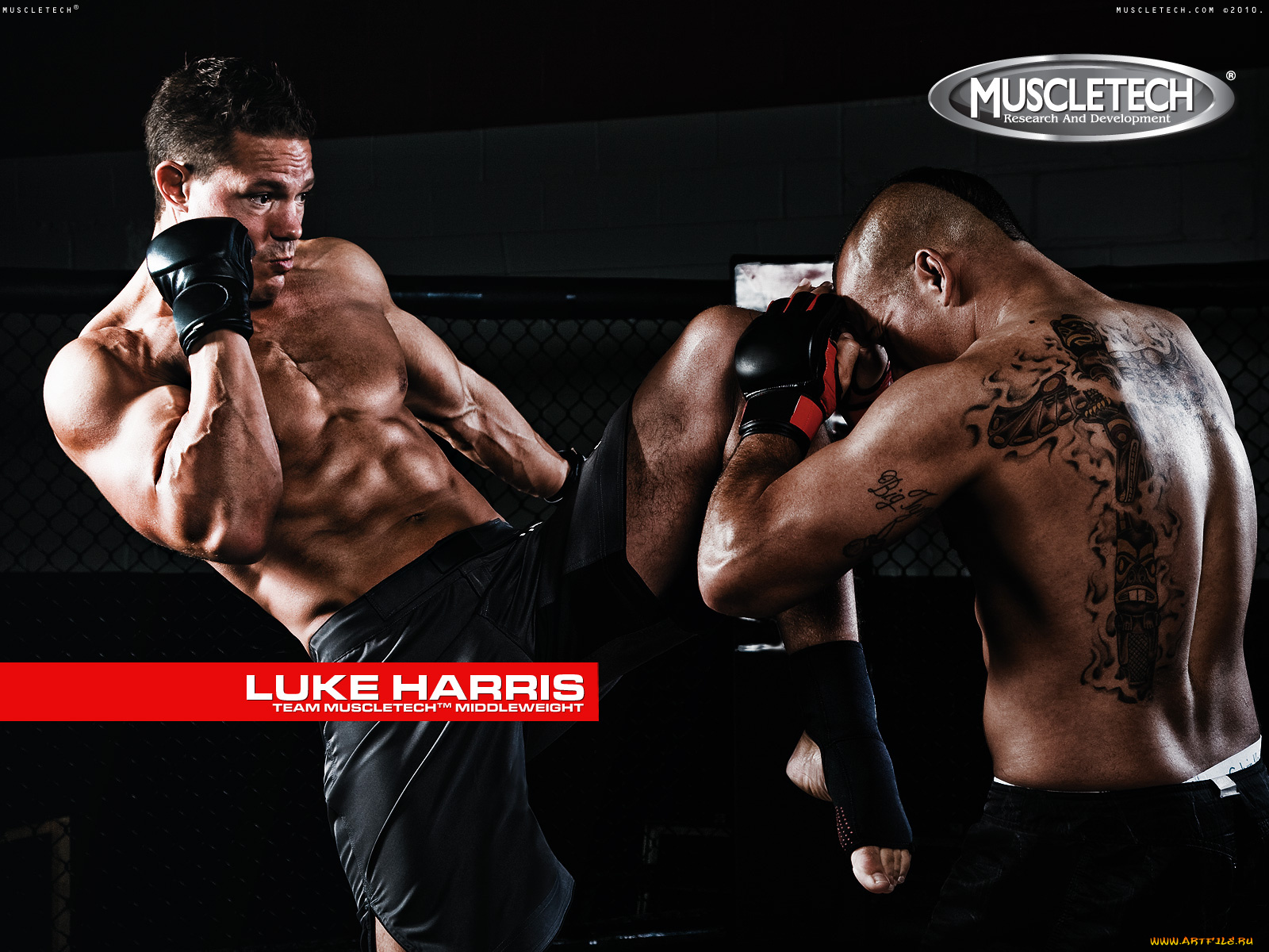 muscletech, бренды, luke, harris