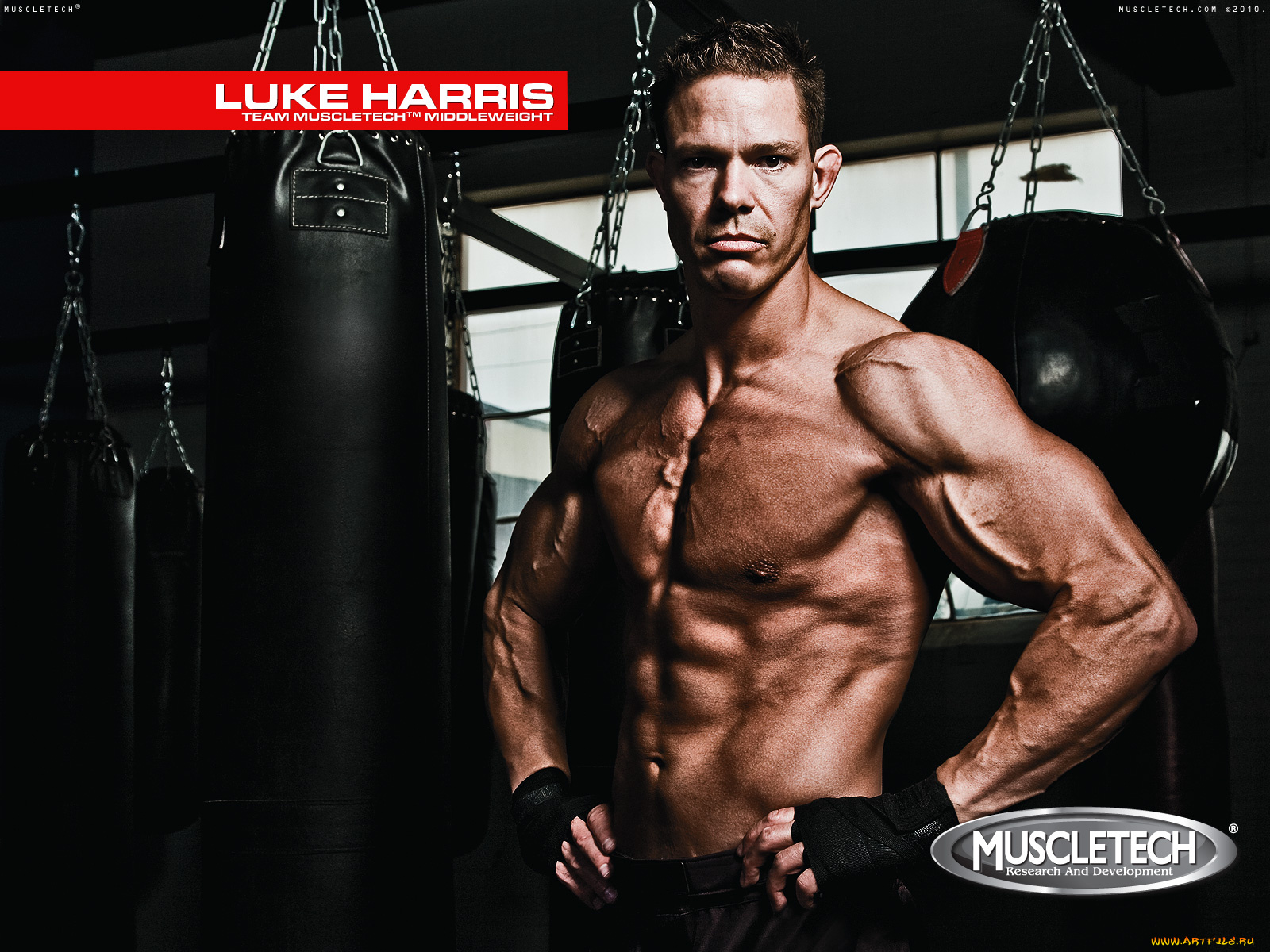 muscletech, бренды, luke, harris