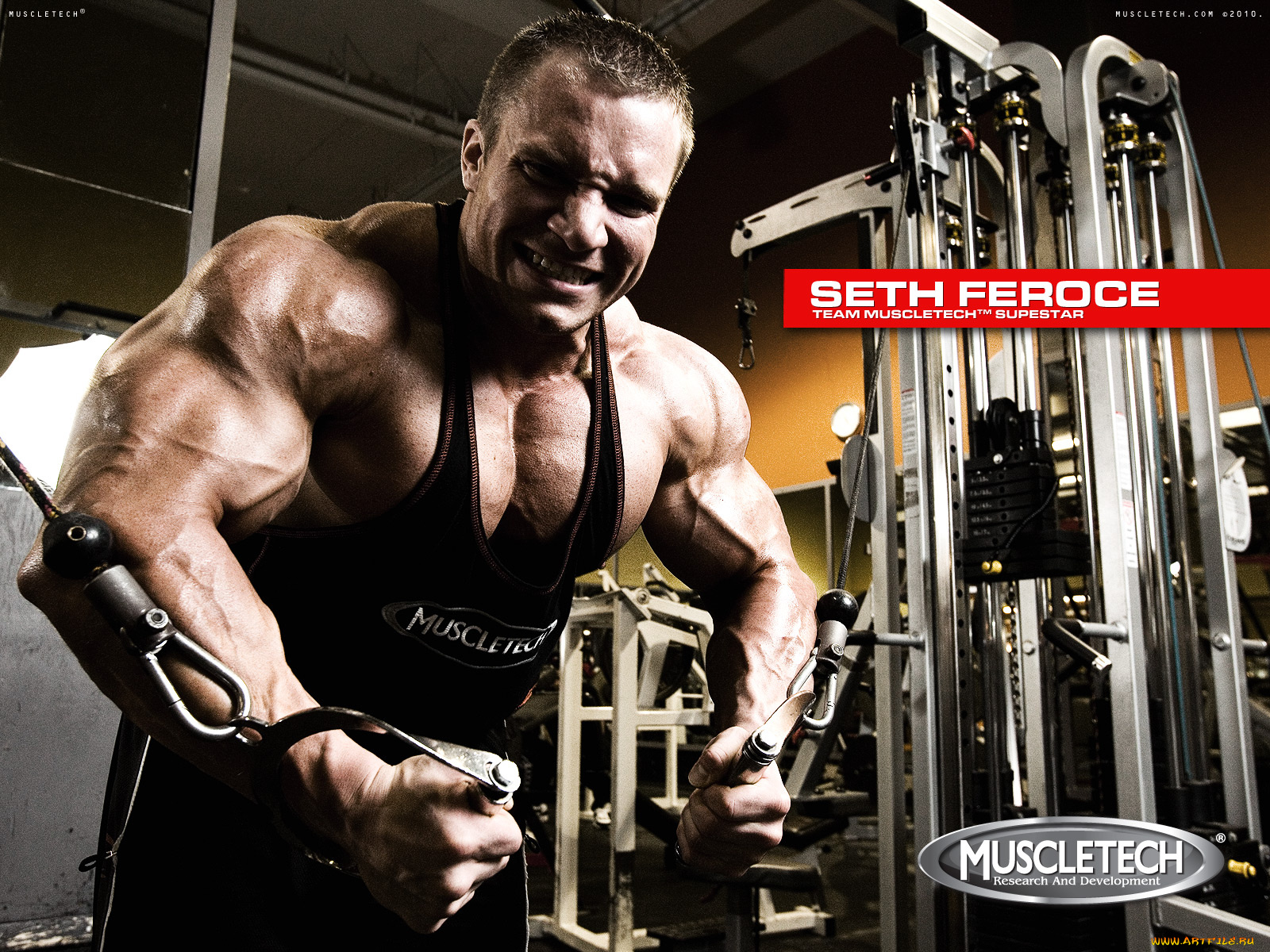 muscletech, бренды, seth, feroce